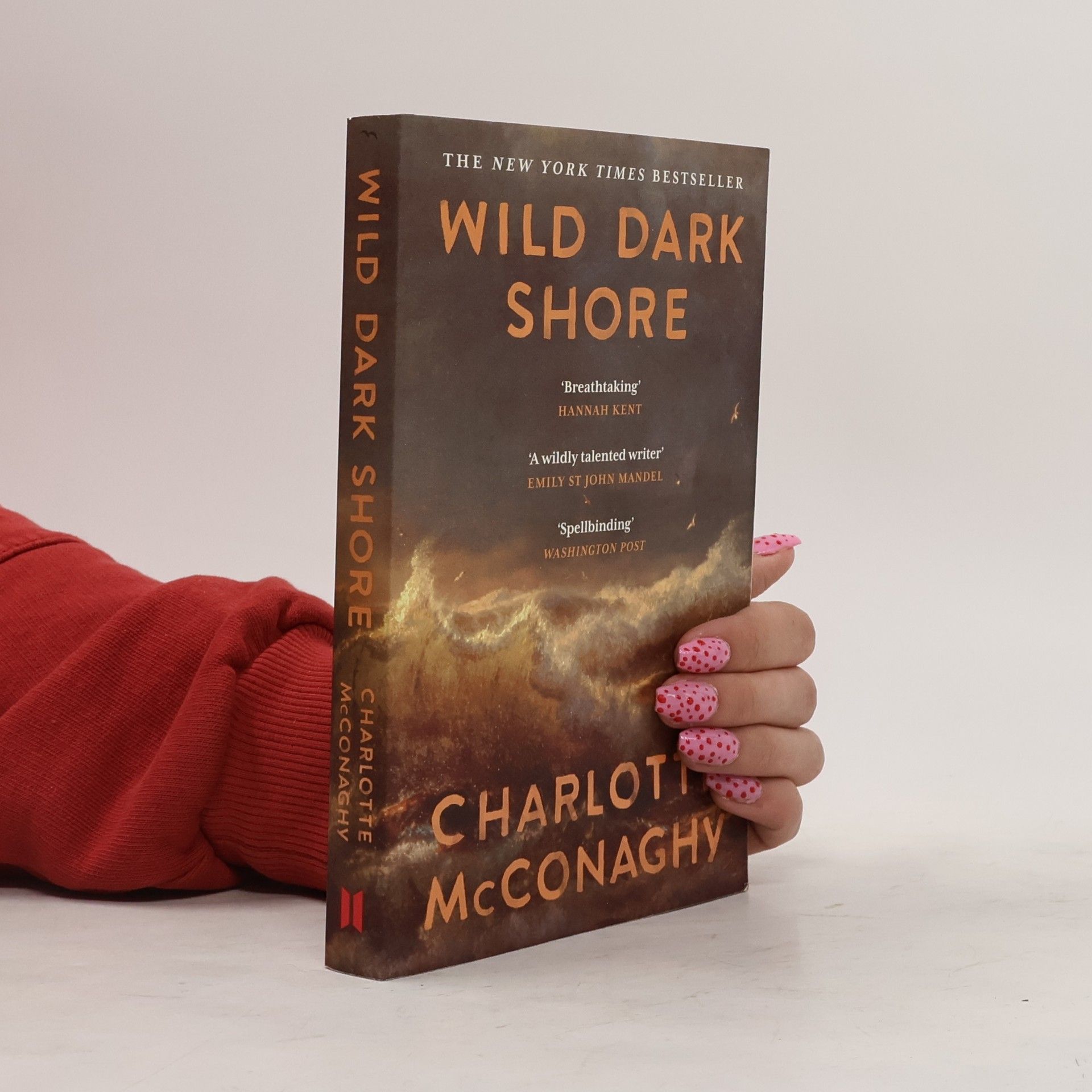 CHARLOTTE. MCCONAGHY Wild Dark Shore