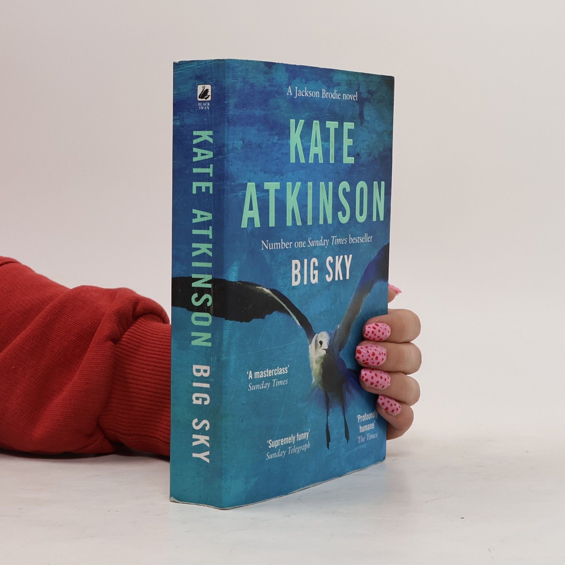 Kate Atkinson Big Sky