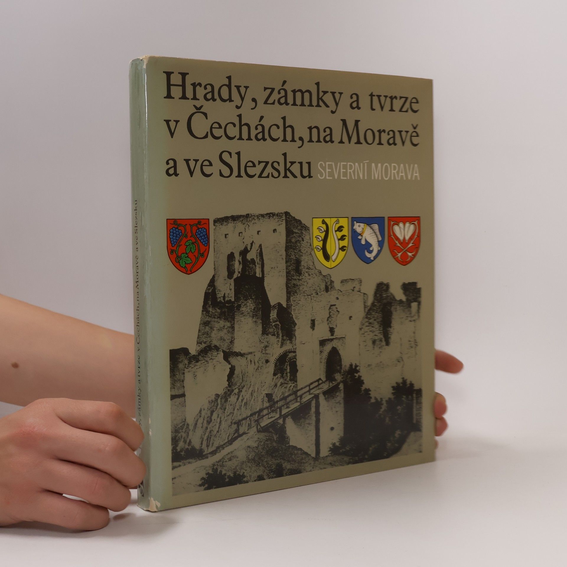 Kolektiv autorů Hrady, zámky a tvrze v Čechách, na Moravě a ve Slezsku II. Severní Morava