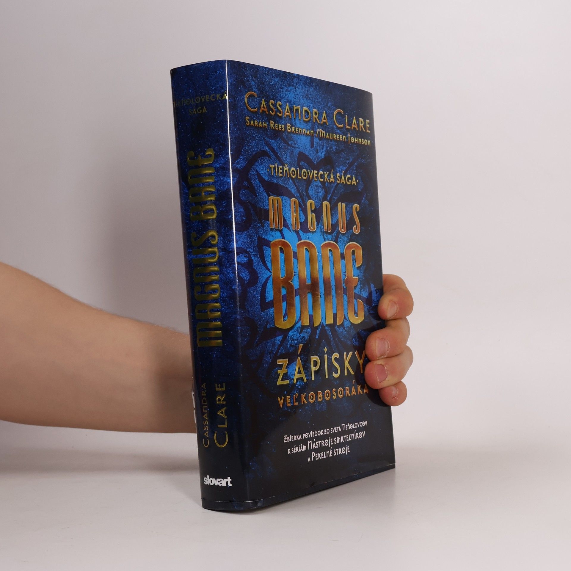 Cassandra Clare Magnus Bane - Zápisky veľkobosoráka