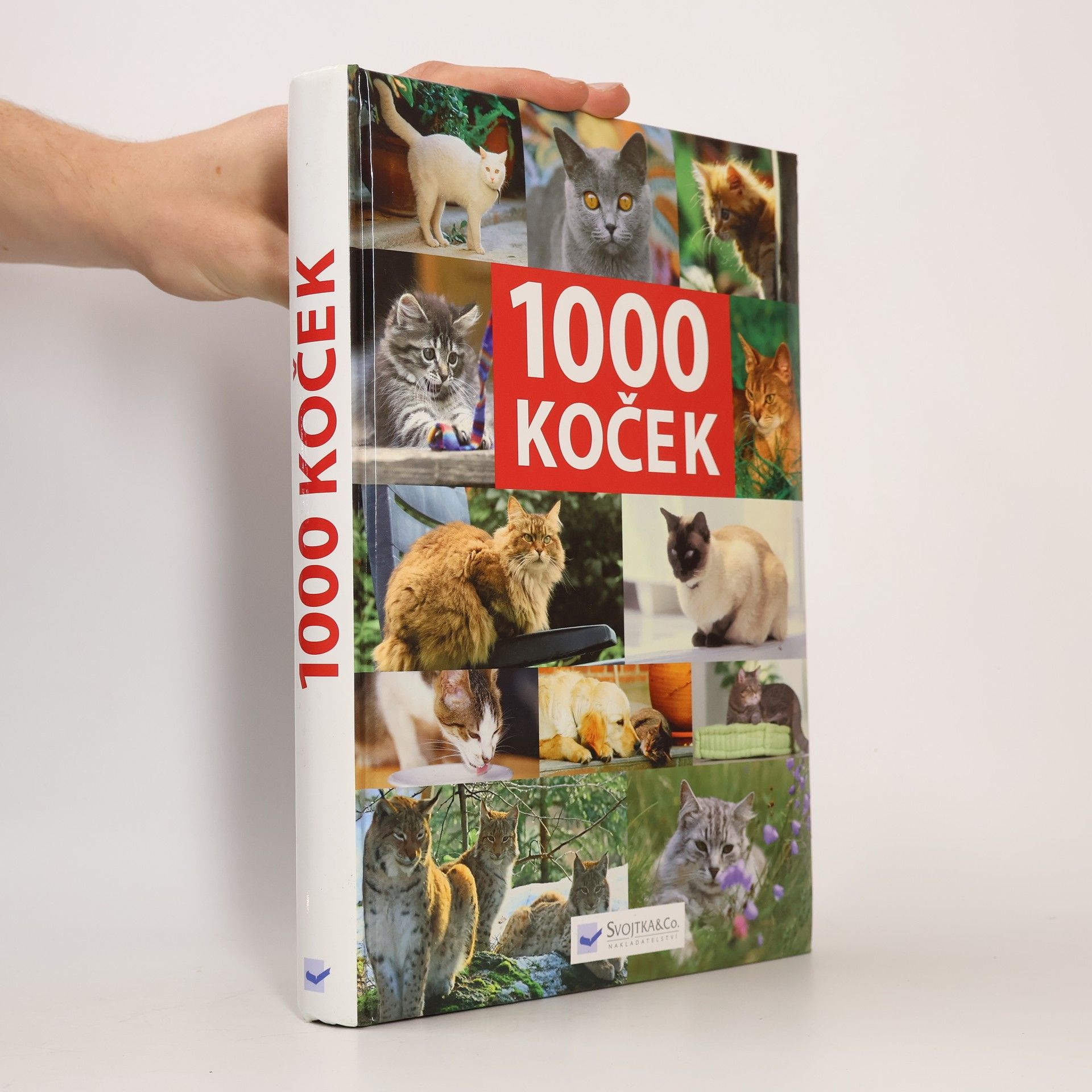 Kolektiv autorů 1000 koček