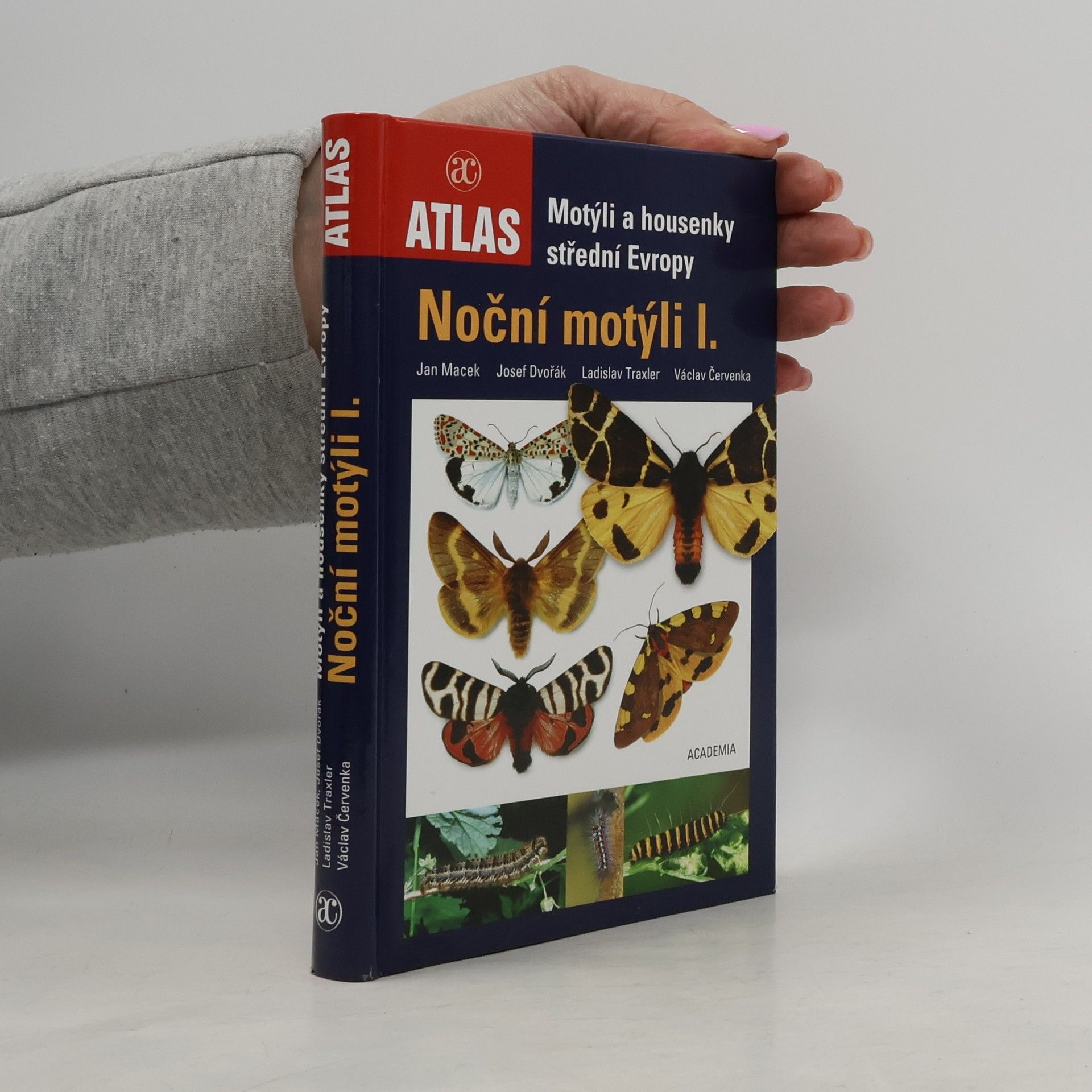 Josef Dvořák Noční motýli I.