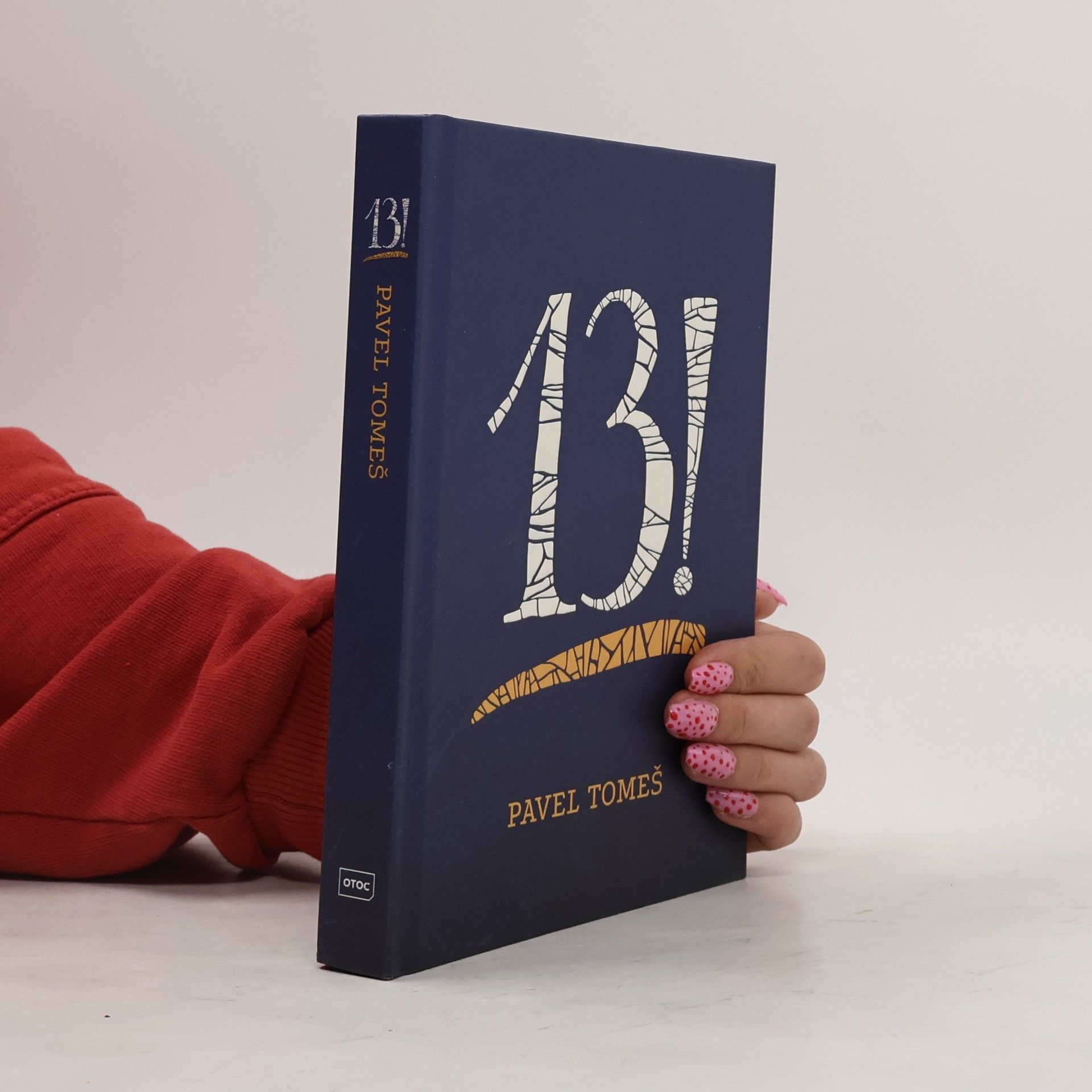 13! : třináct příběhů s přílohami