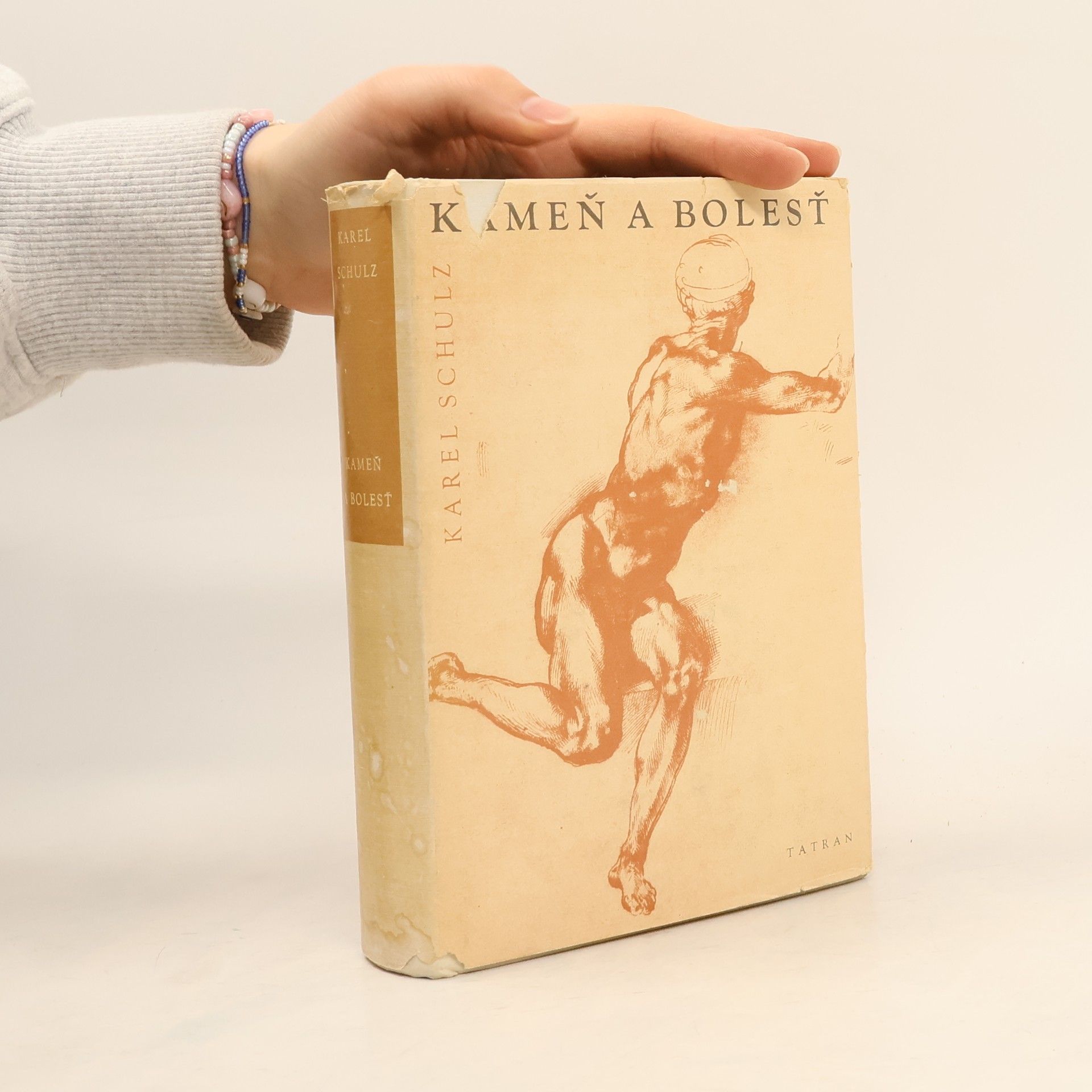 Karel Schulz Kameň a bolesť