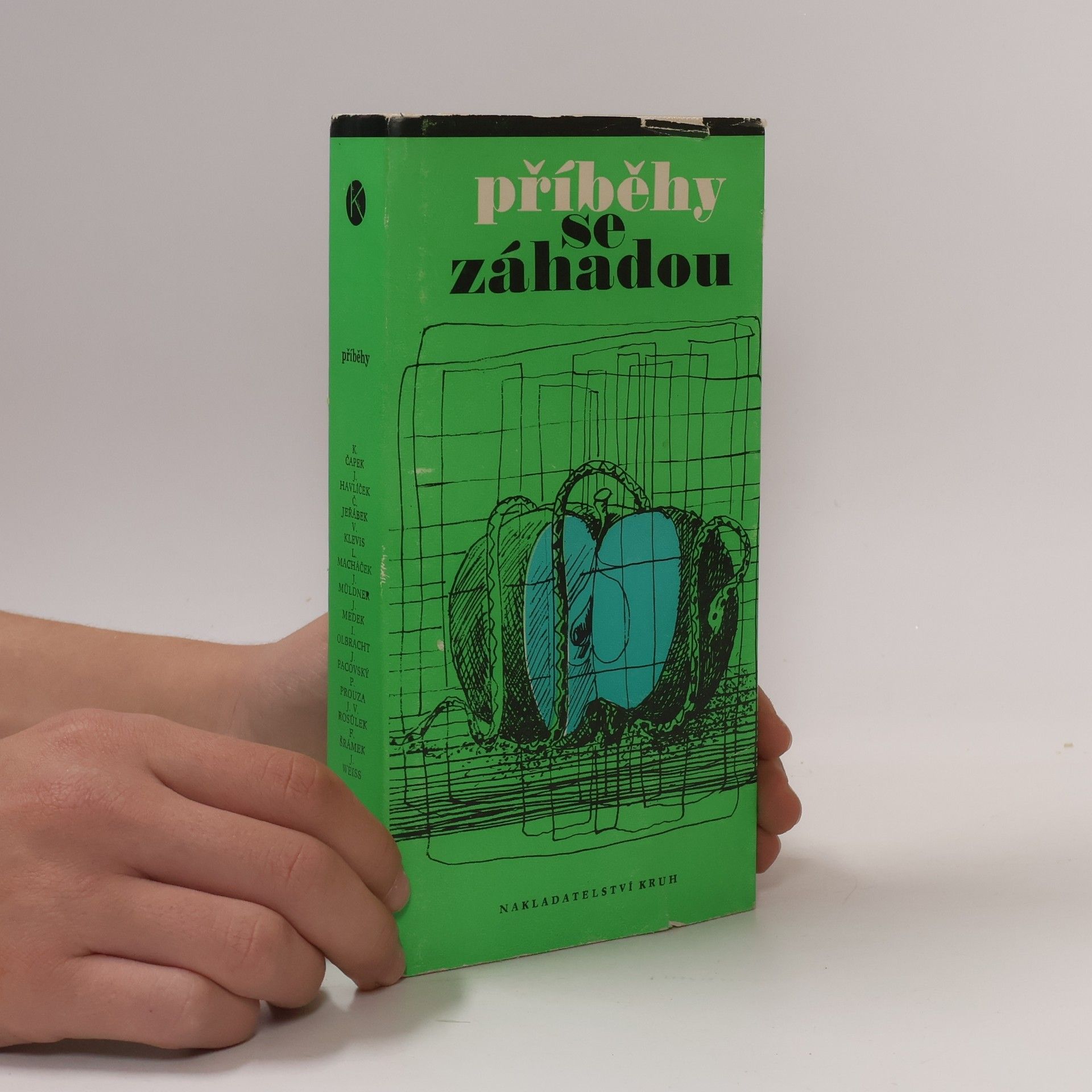 Ludmila Jandová Příběhy se záhadou