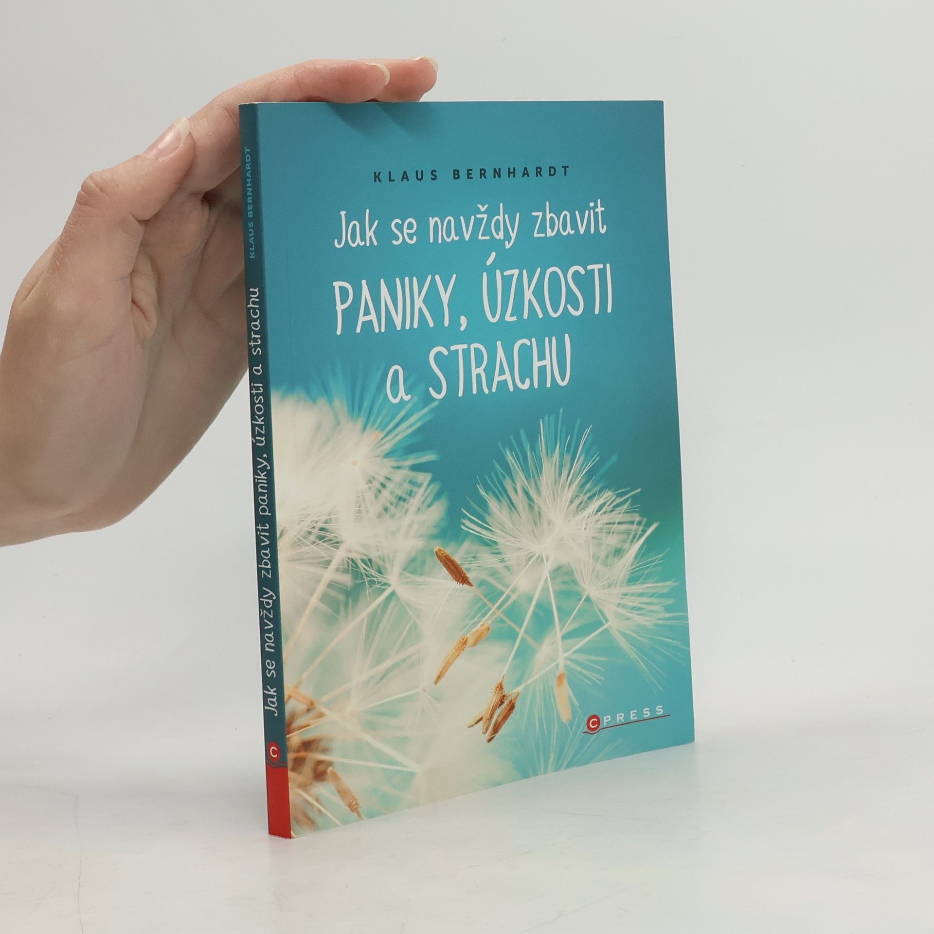 Klaus Bernhardt Jak se navždy zbavit paniky, úzkosti a strachu