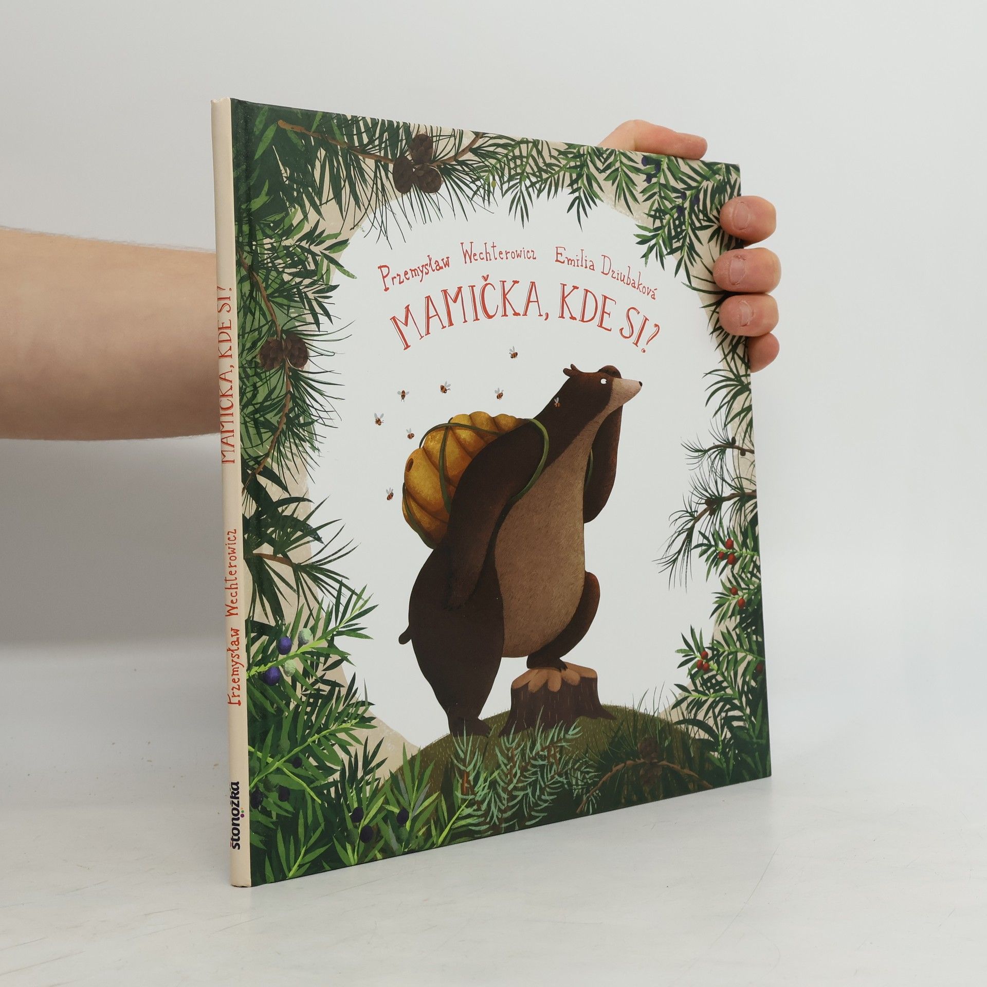 Przemysław Wechterowicz Mamička, kde si?