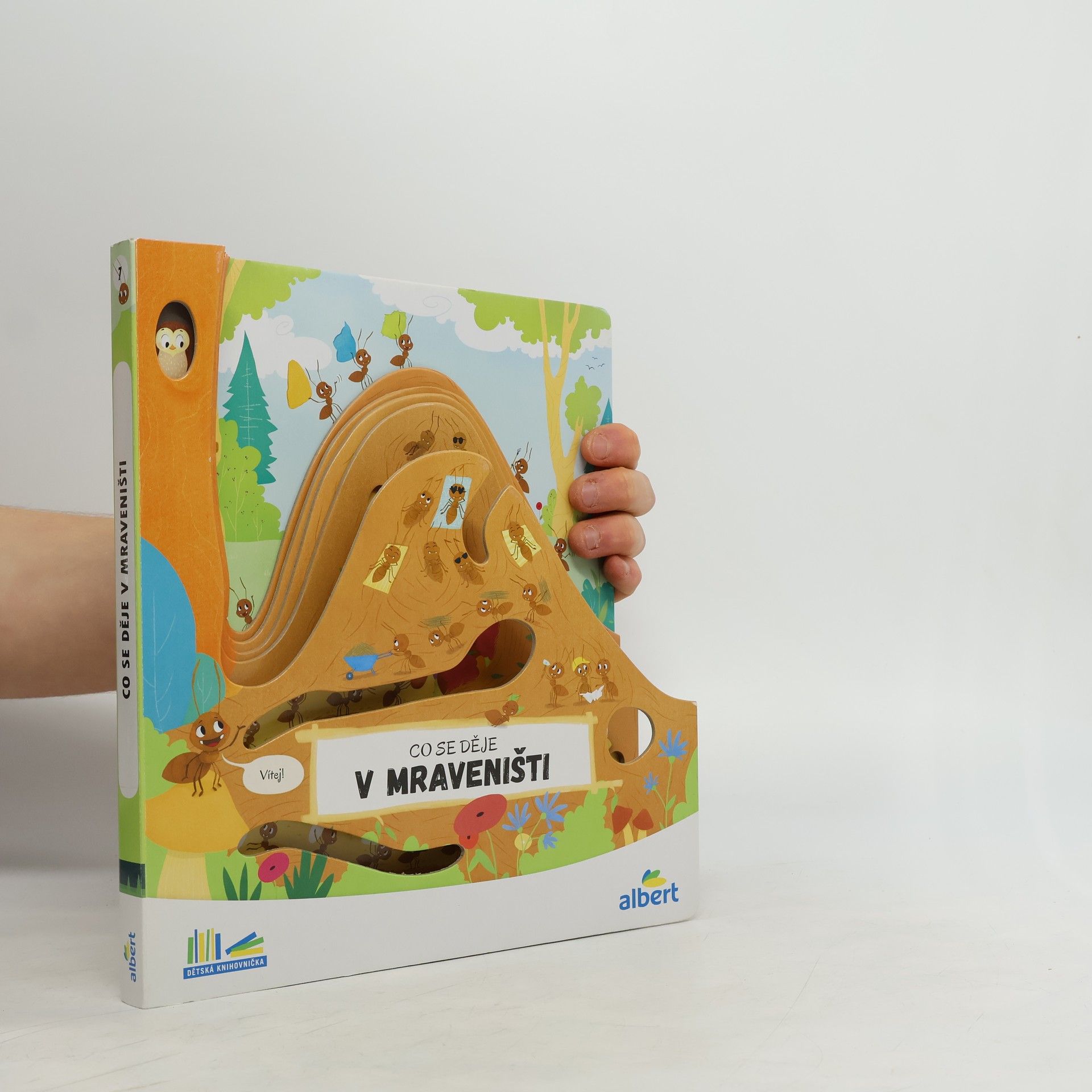 Autorenkollektiv Co se děje v mraveništi