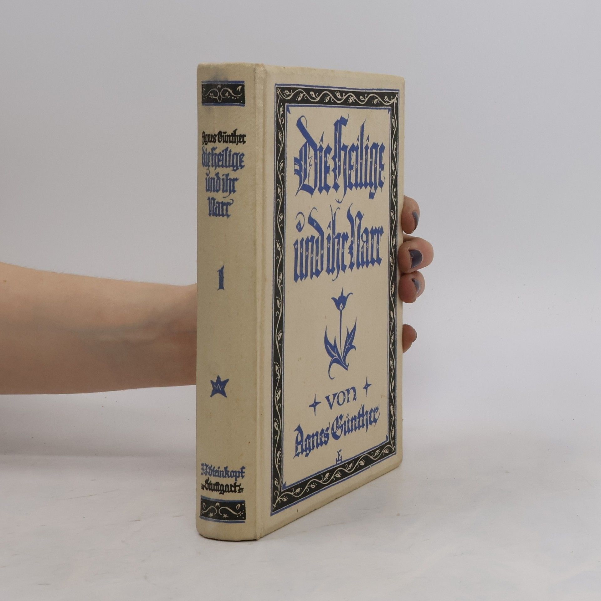 Agnes Günther Die heilige und ihr Narr 1.