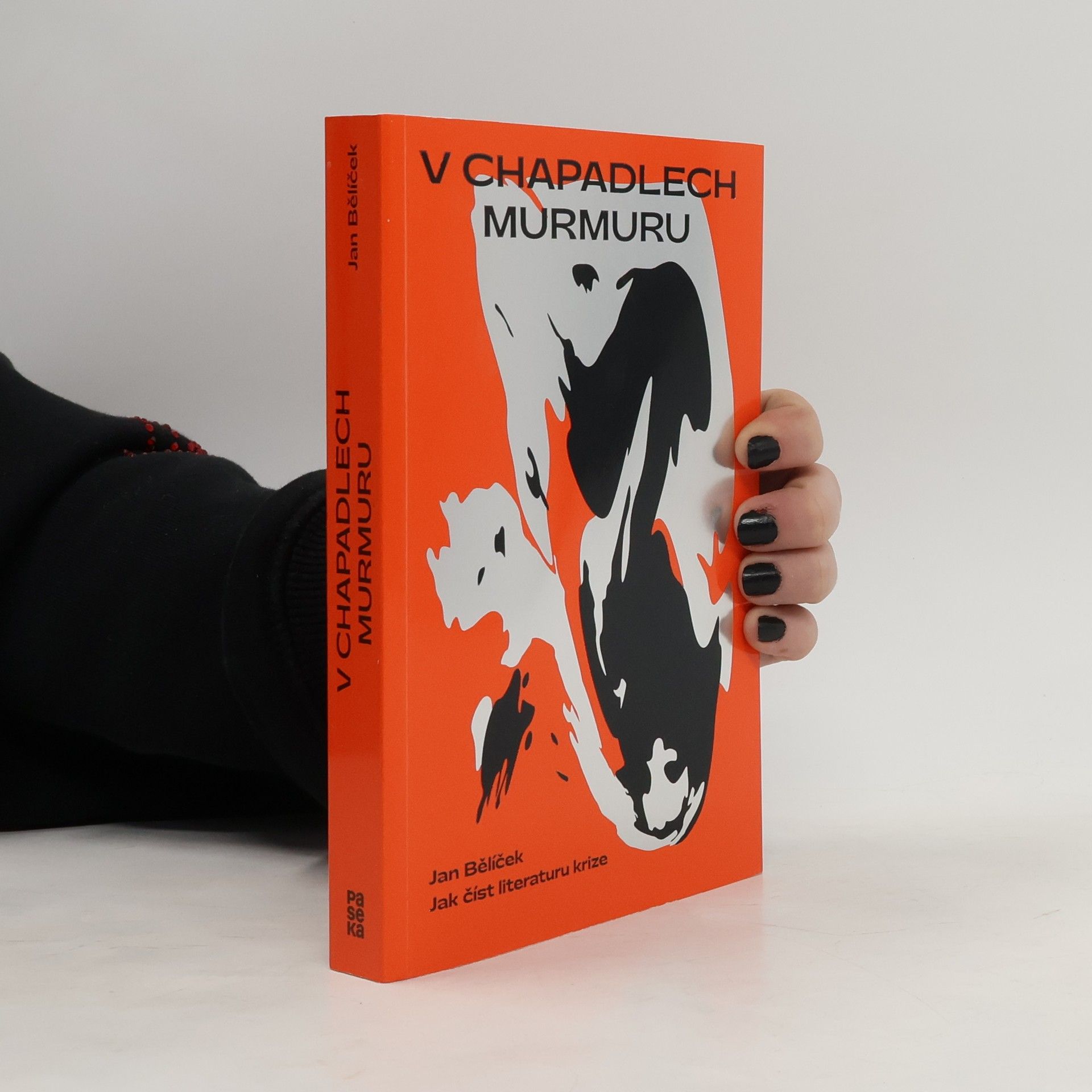 Jan Bělíček V chapadlech murmuru : jak číst literaturu krize