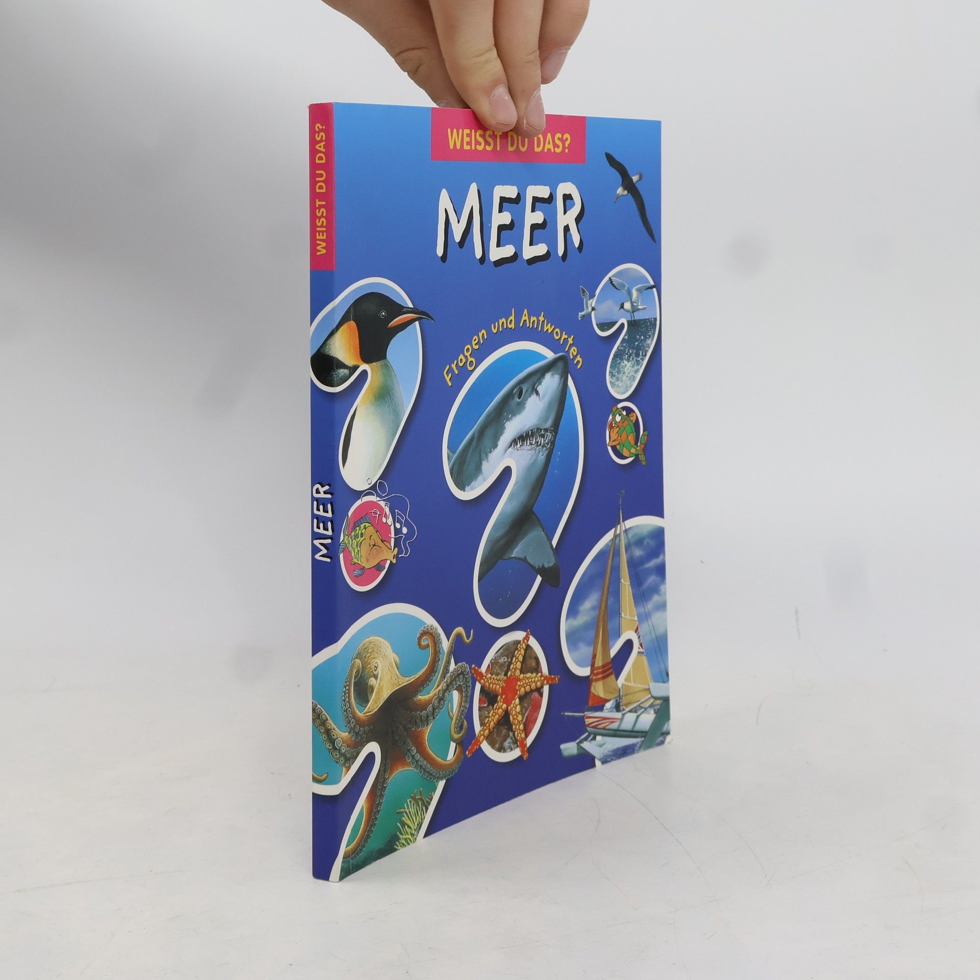 Émilie Beaumont Weisst du das?: Meer