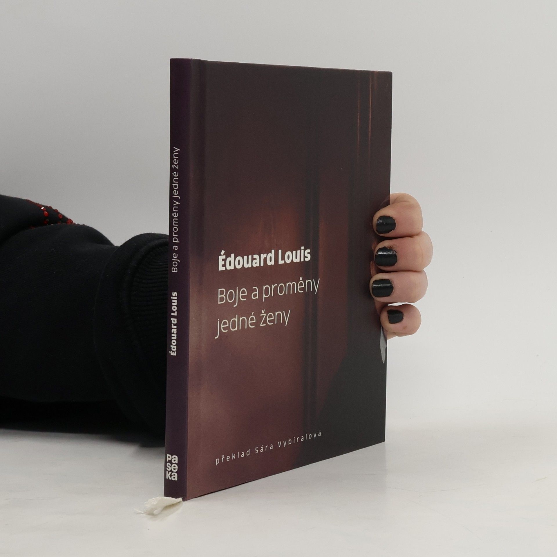 Édouard Louis Boje a proměny jedné ženy