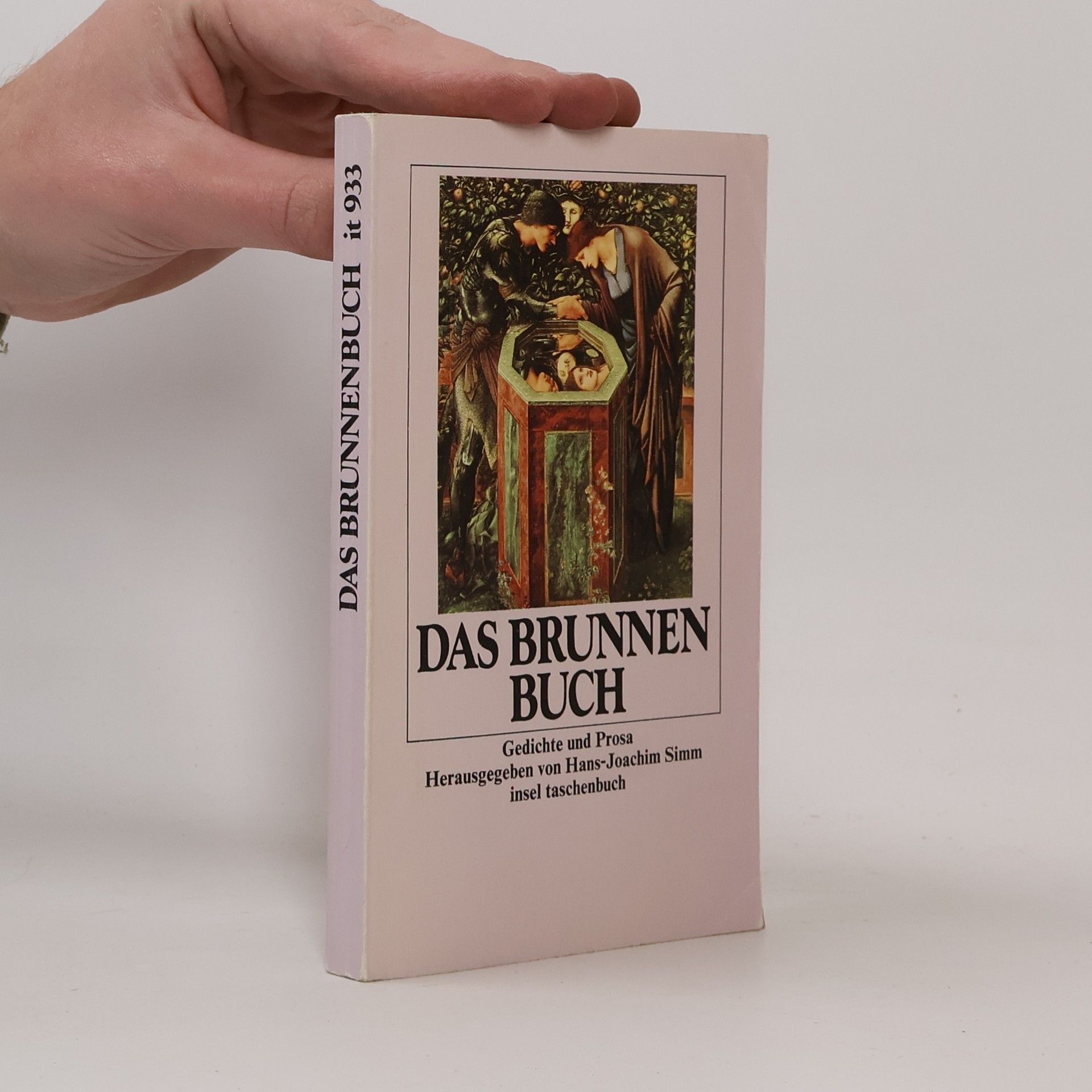 Joachim Simm Das Brunnenbuch
