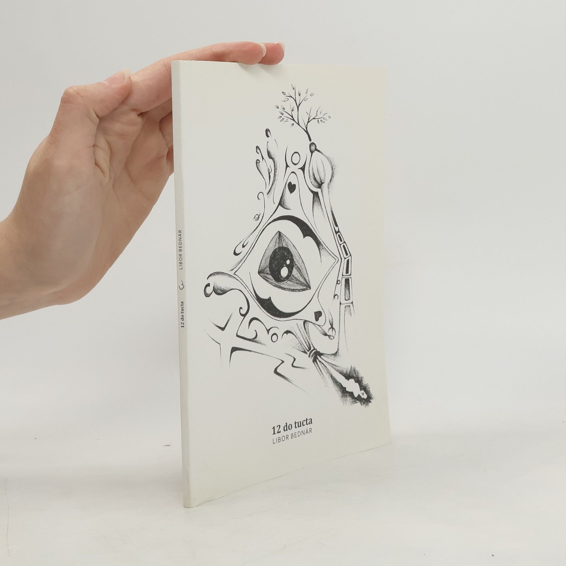 Libor Bednár 12 do tucta