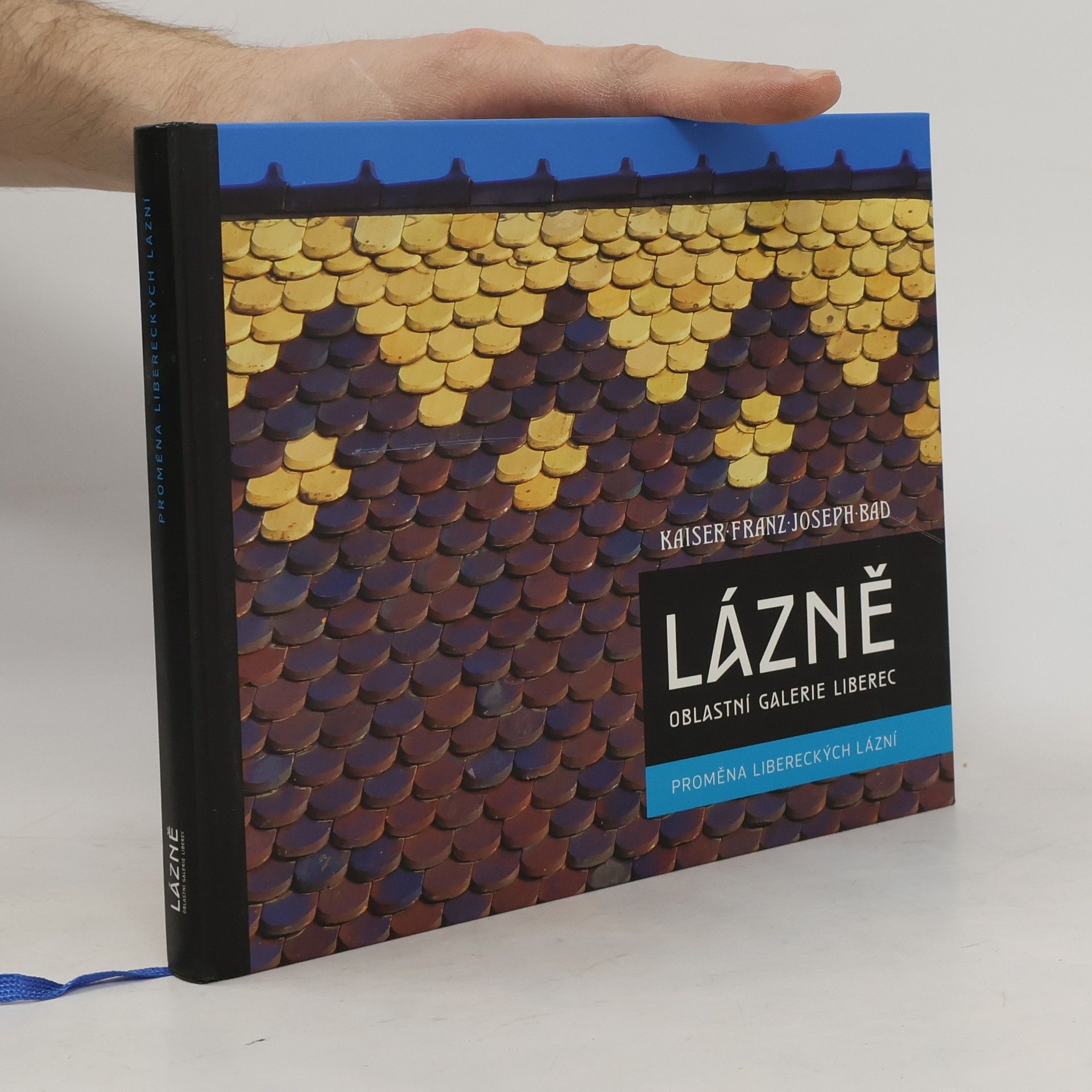 Lázně - Oblastní galerie Liberec : proměna libereckých Lázní