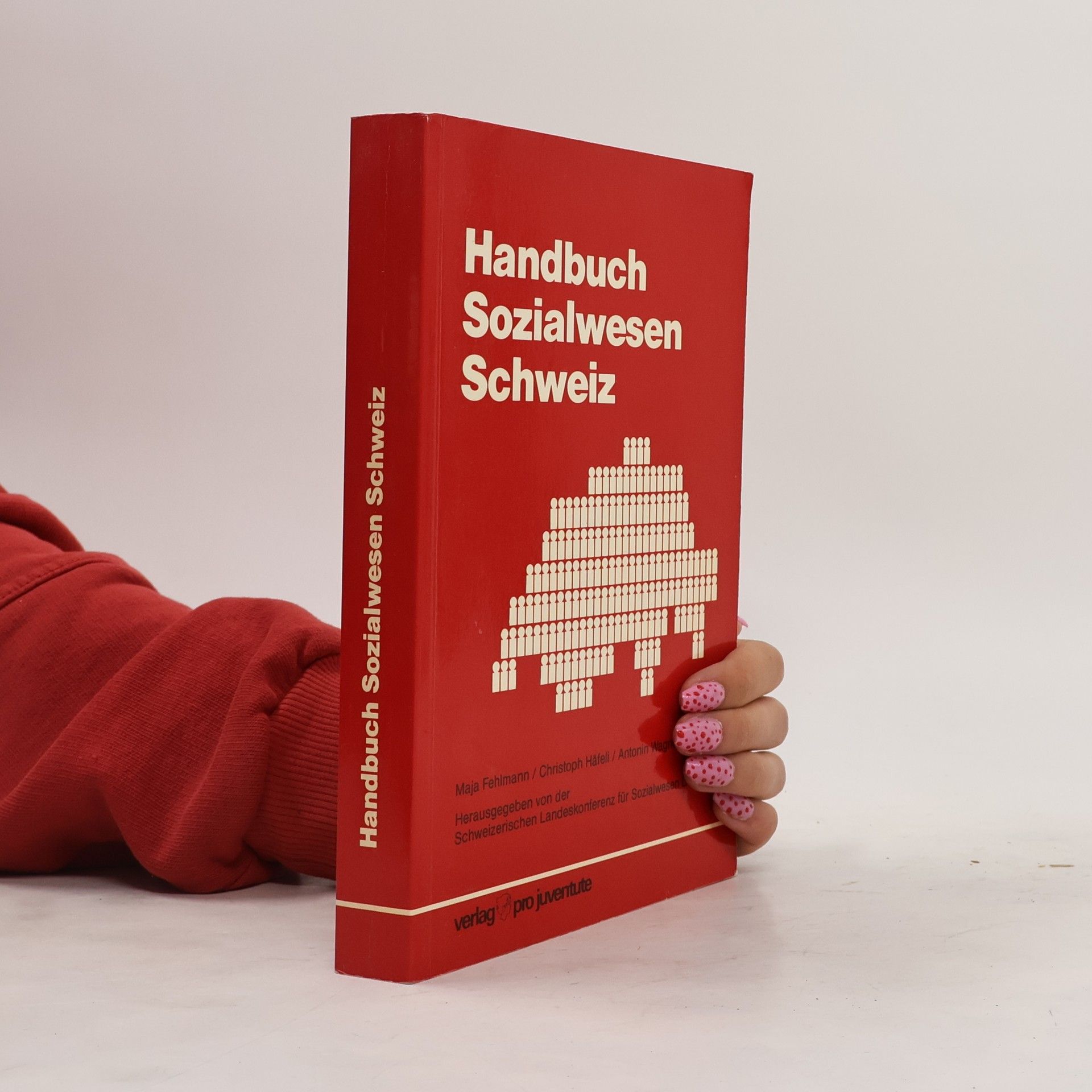 Maja Fehlmann Handbuch Sozialwesen Schweiz