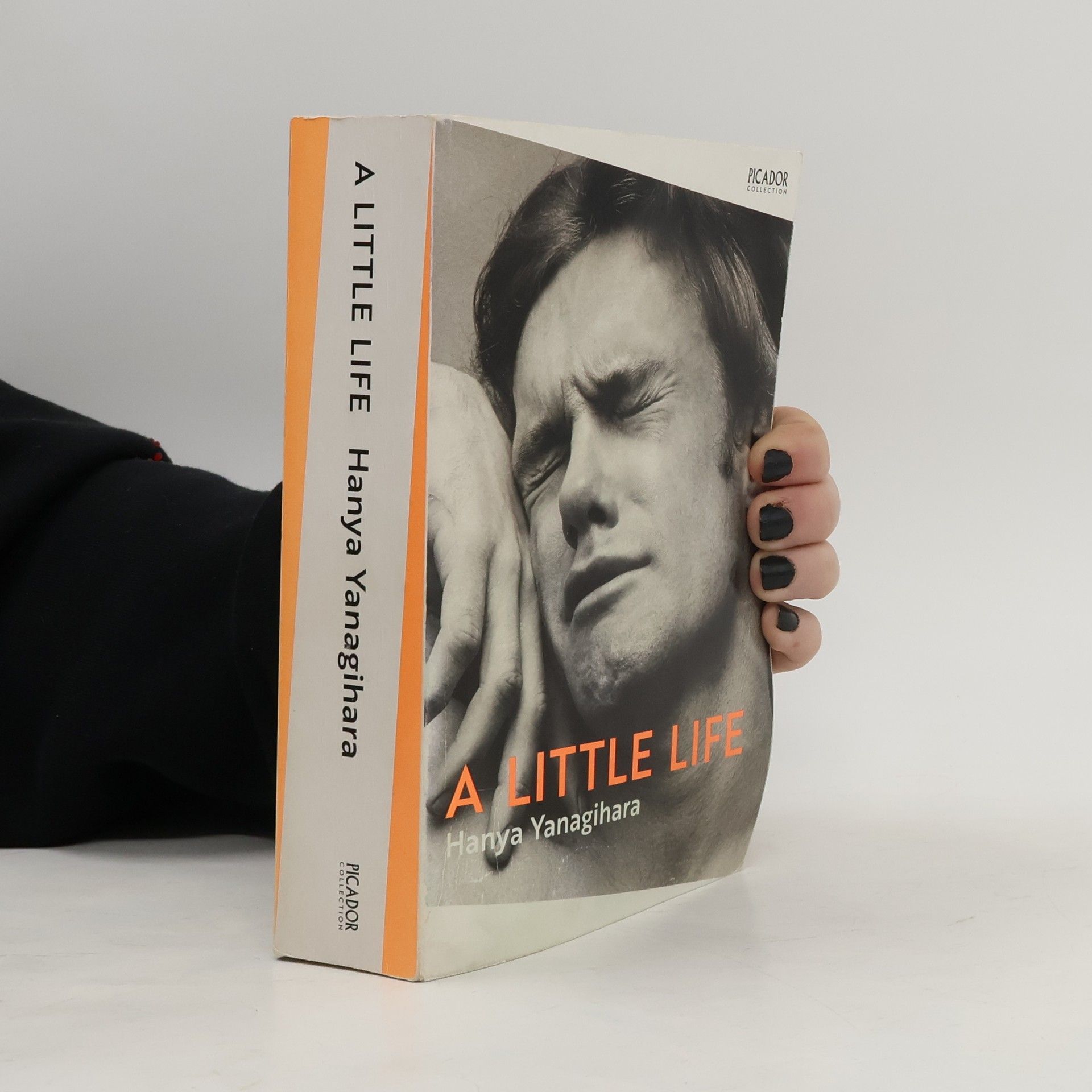 Hanya Yanagihara A Little Life