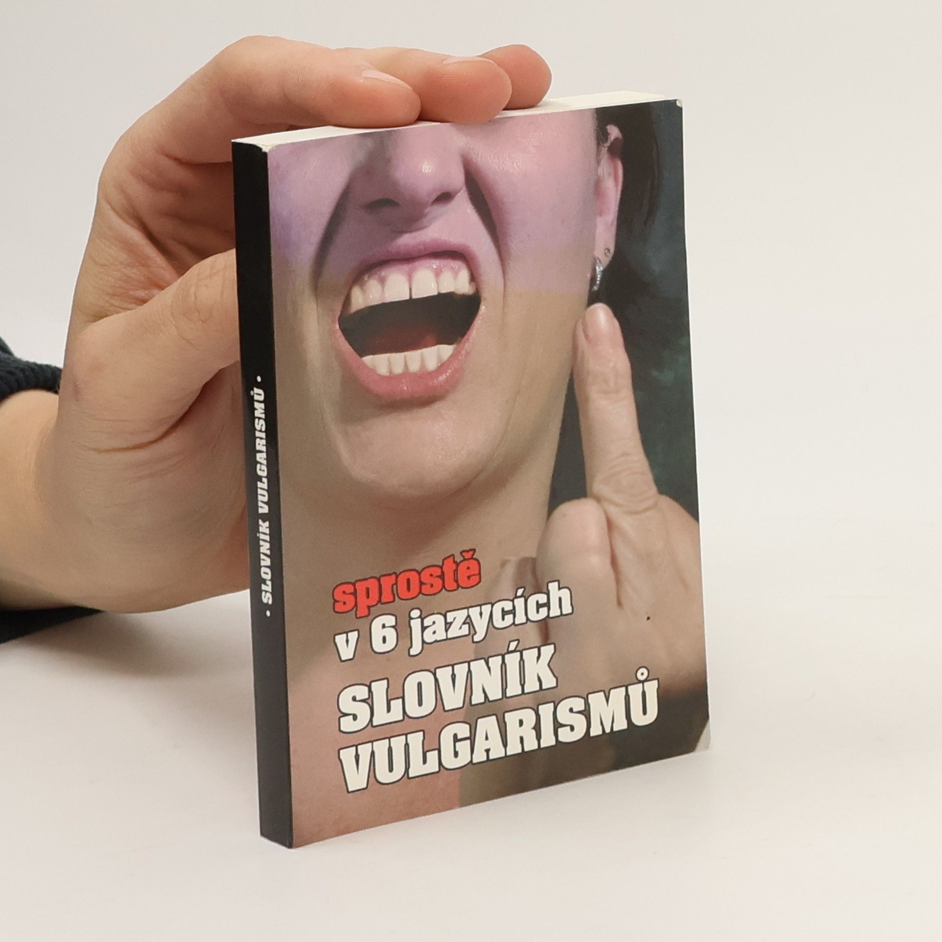 Kryštof Bajger Slovník vulgarismů : sprostě v 6 jazycích