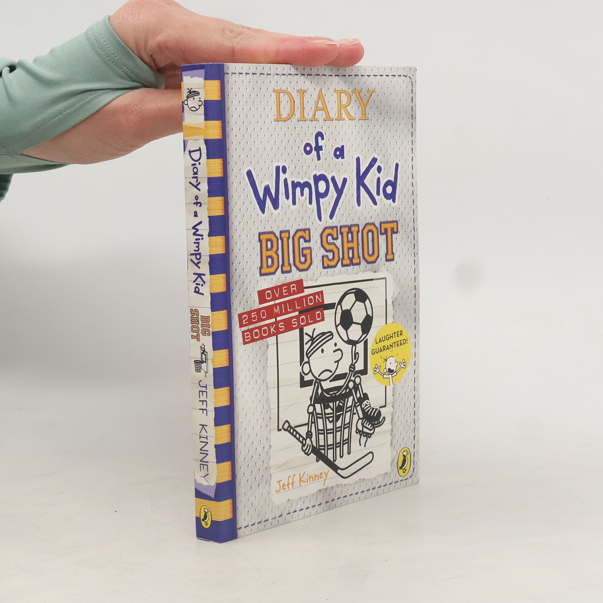 Diary of a Wimpy Kid 16: Big Shot