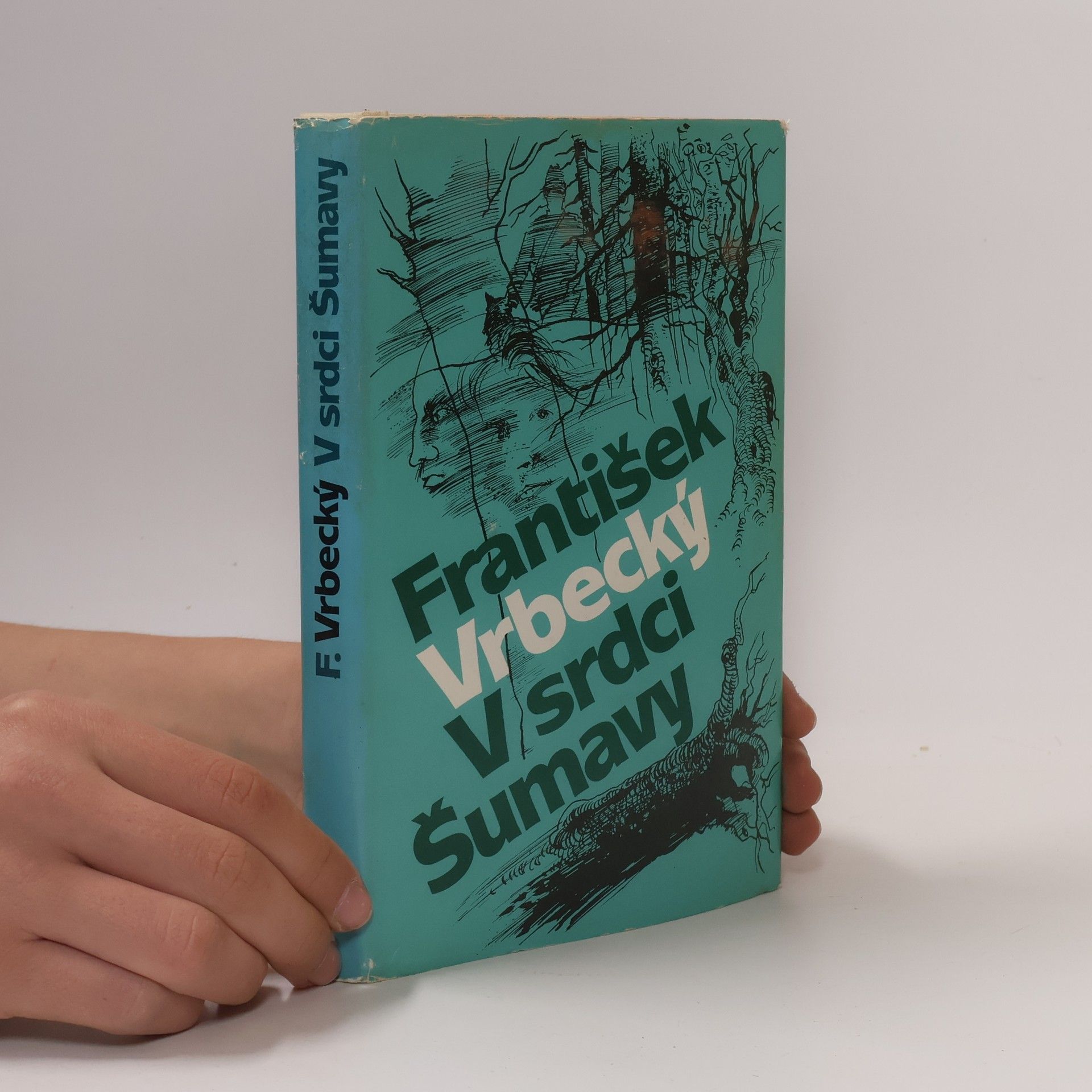 František Vrbecký V srdci Šumavy