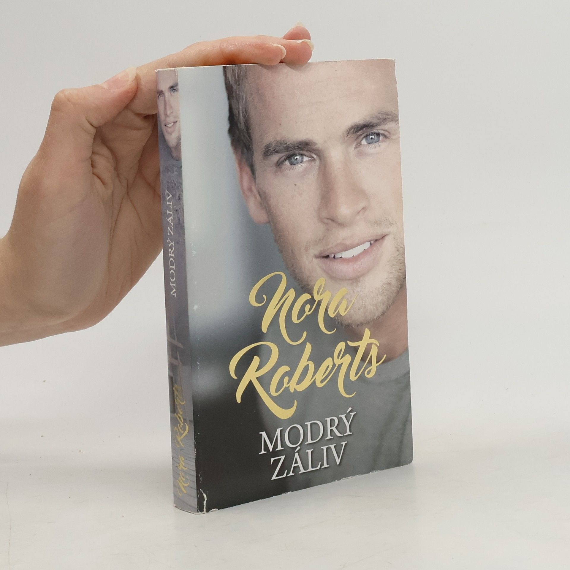 Nora Roberts Modrý záliv