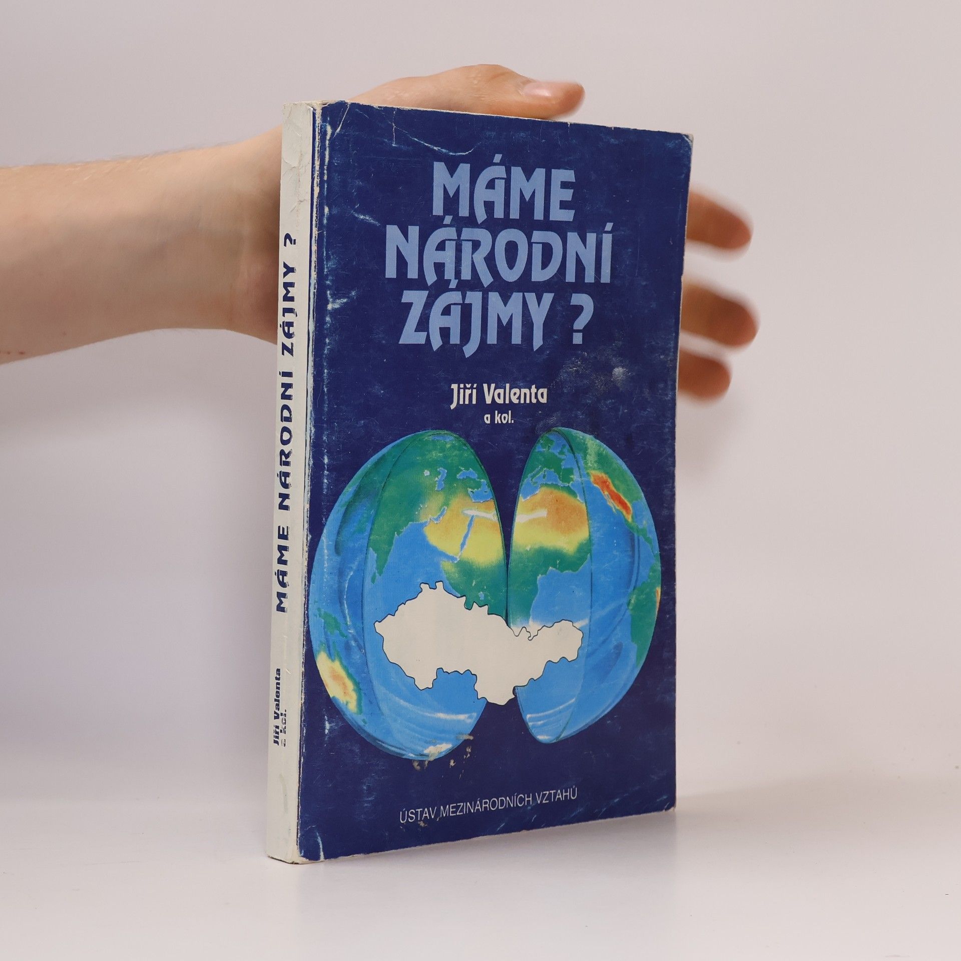 Máme národní zájmy?