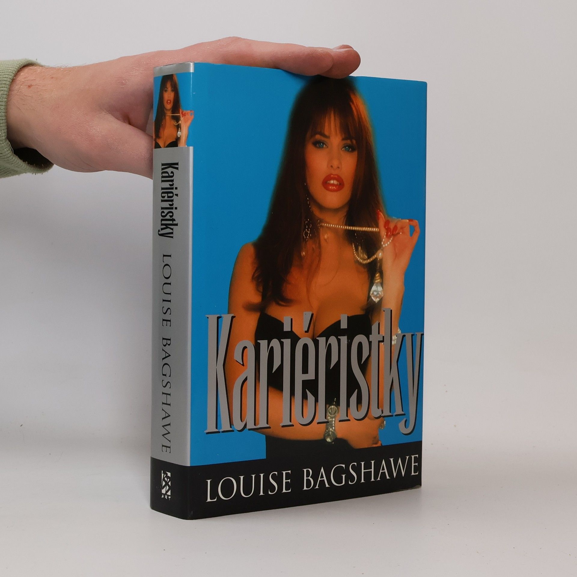 Louise Mensch Kariéristky