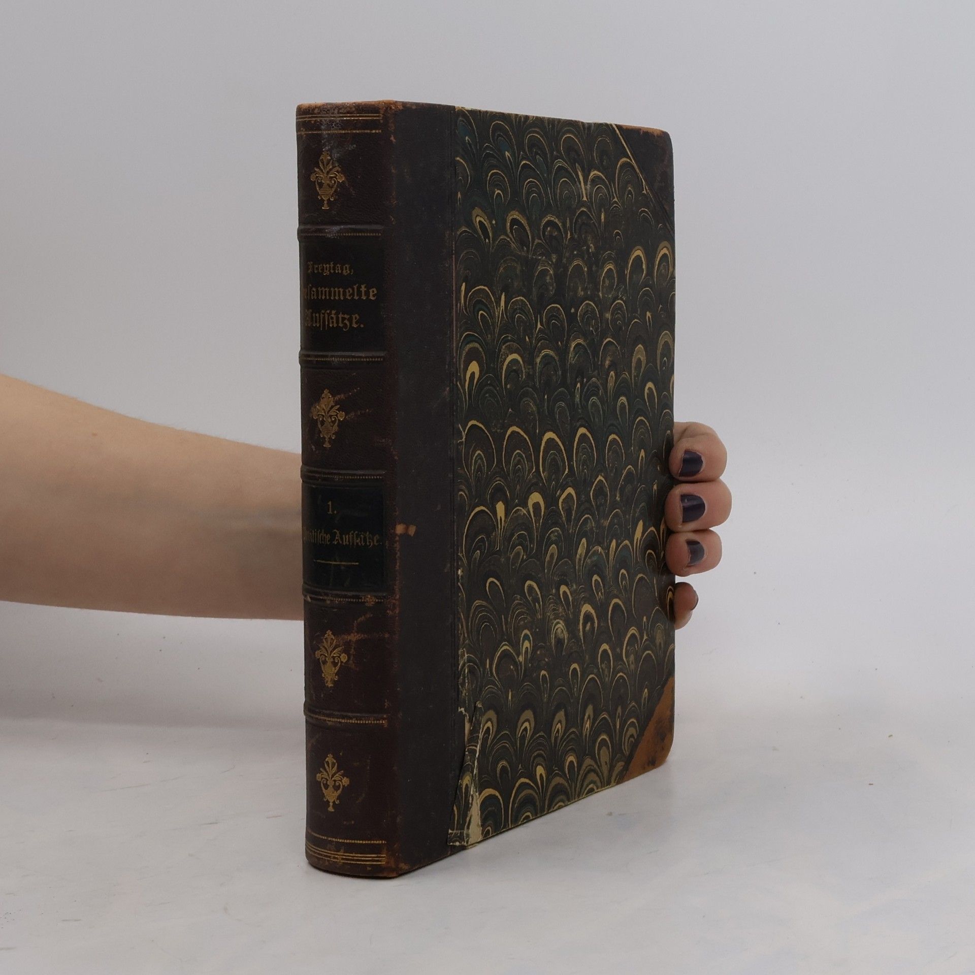 Gustav Freytag Politische aufsätze