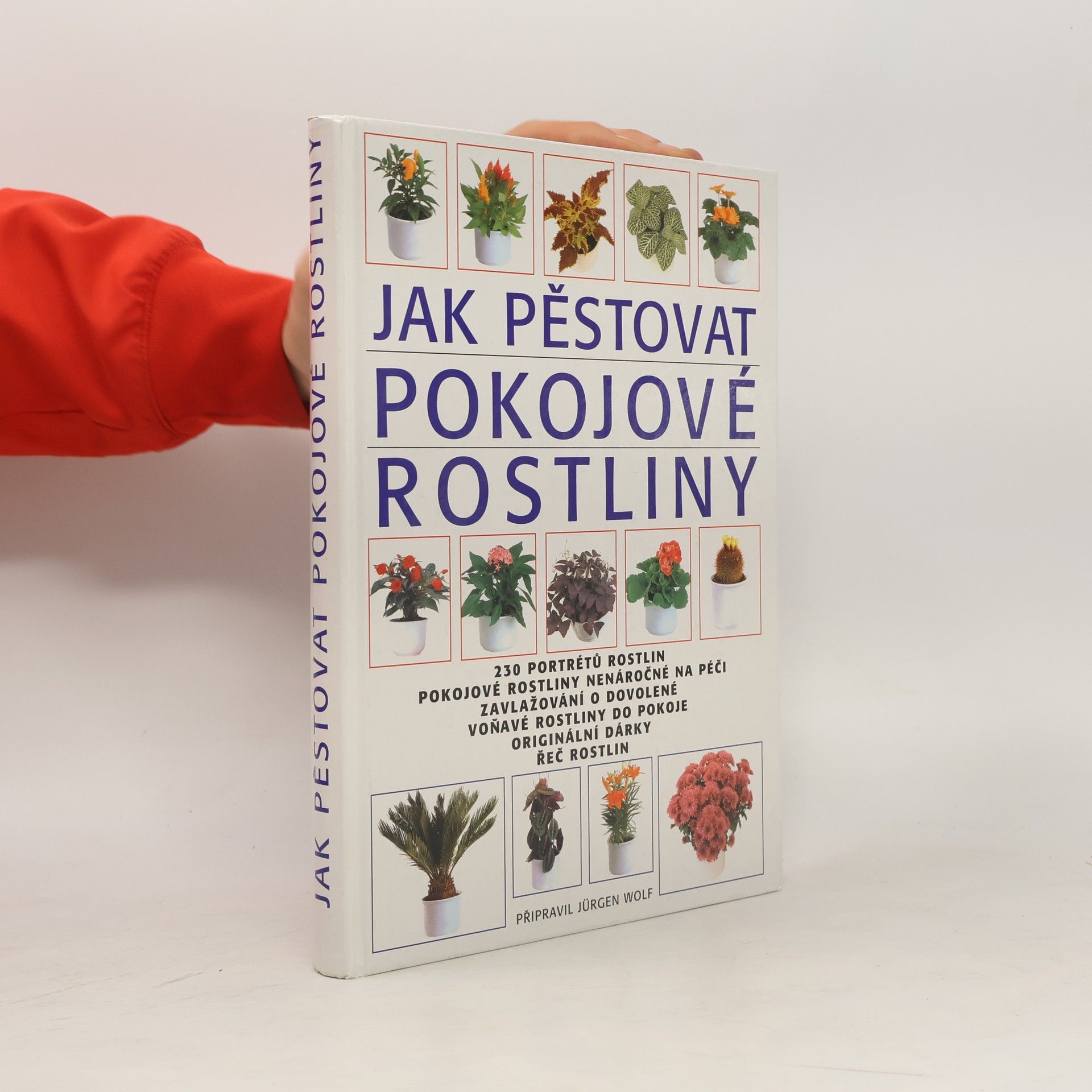 Jürgen Wolff Jak pěstovat pokojové rostliny