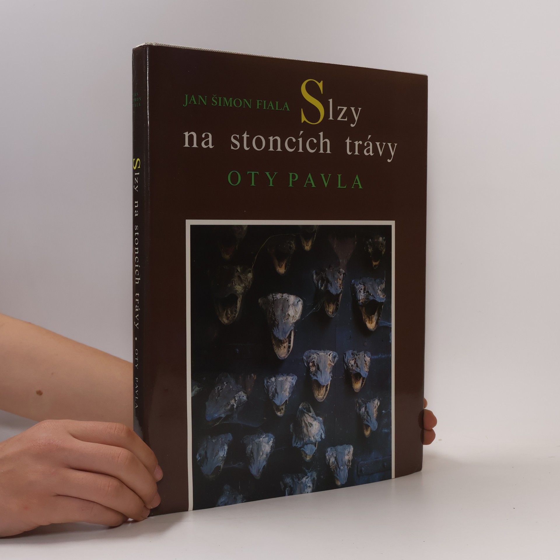 Slzy na stoncích trávy Oty Pavla