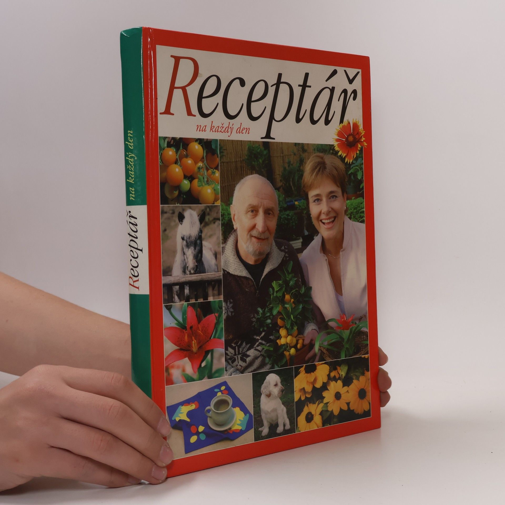 AA.VV. Receptář na každý den