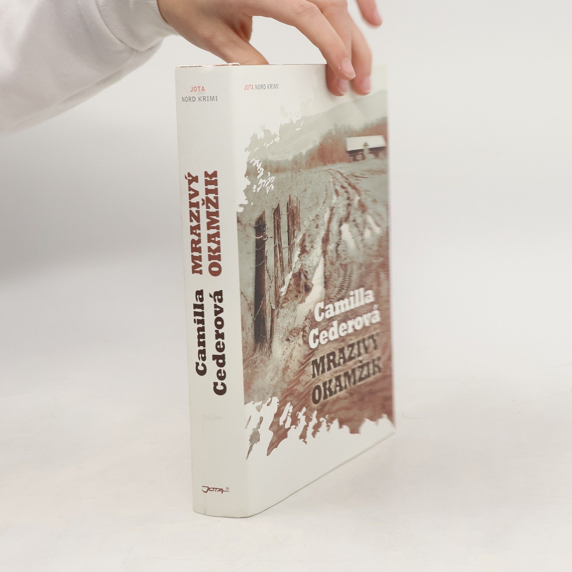 Camilla Ceder Mrazivý okamžik