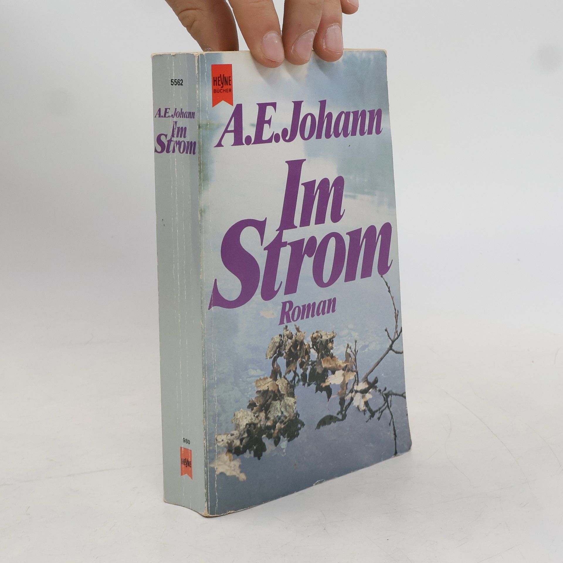 Alfred E. Johann Im Strom