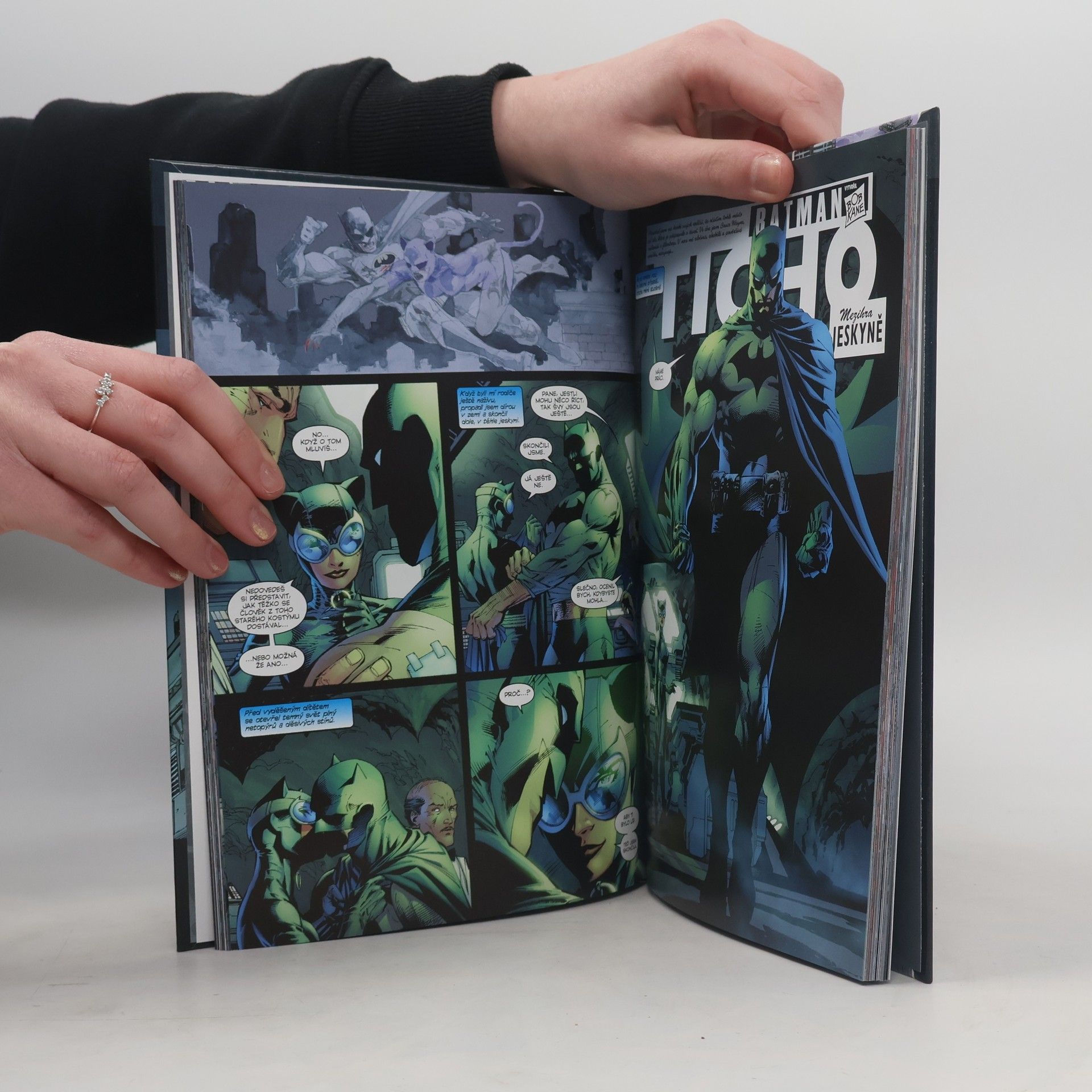 Jeph Loeb Batman: Ticho: Kniha druhá