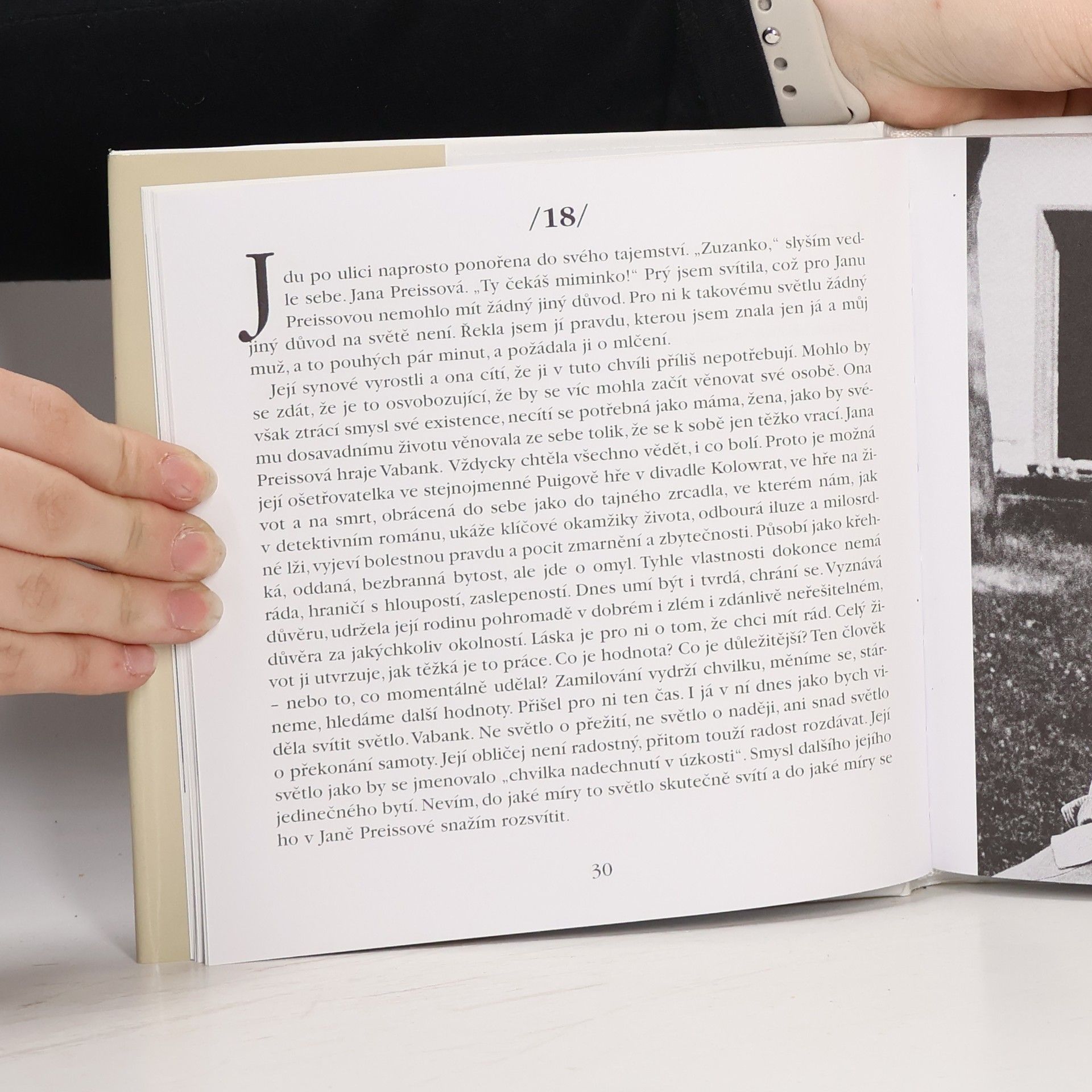 Zuzana Maléřová Viděla jsem jitro