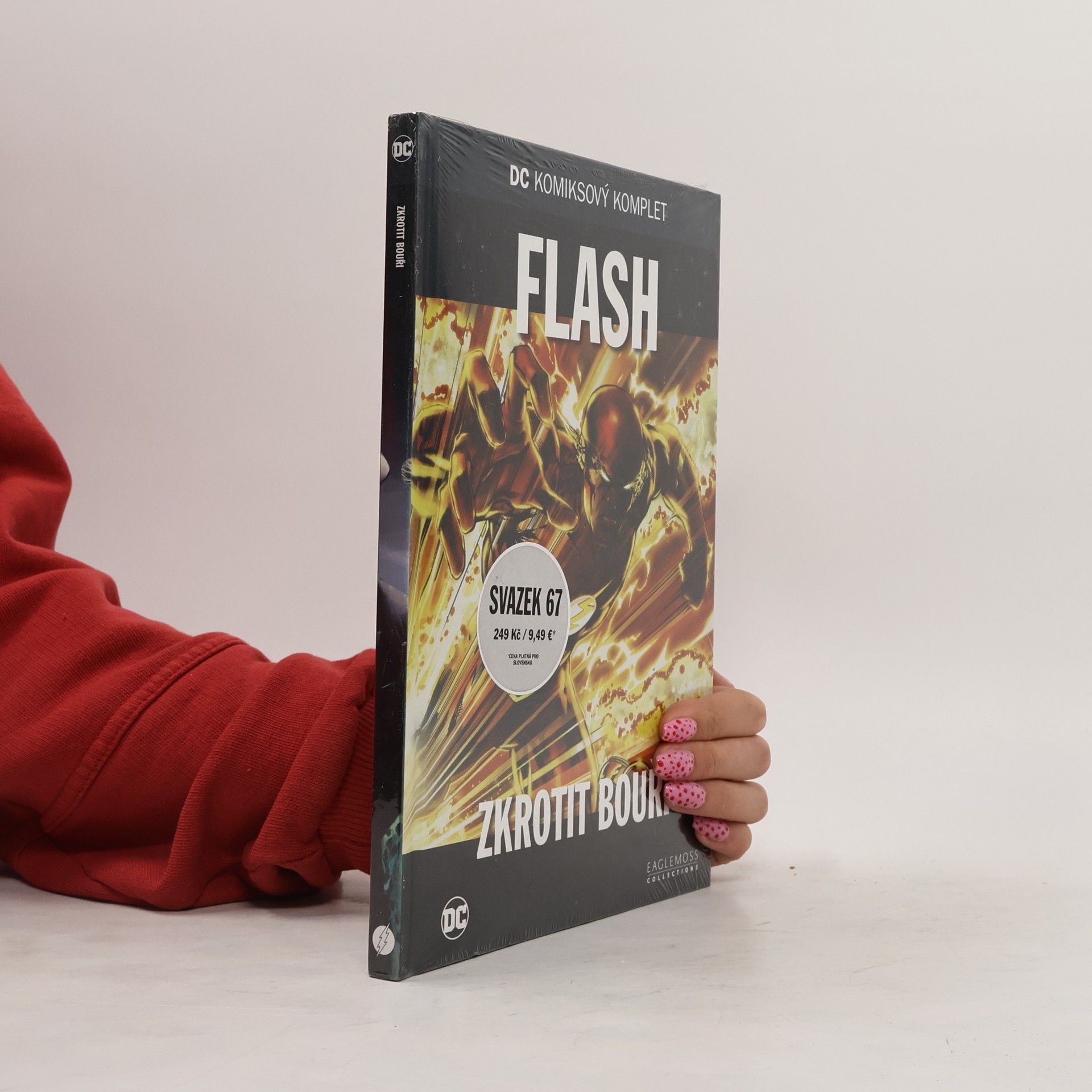 Danny Bilson Flash: Zkrotit bouři