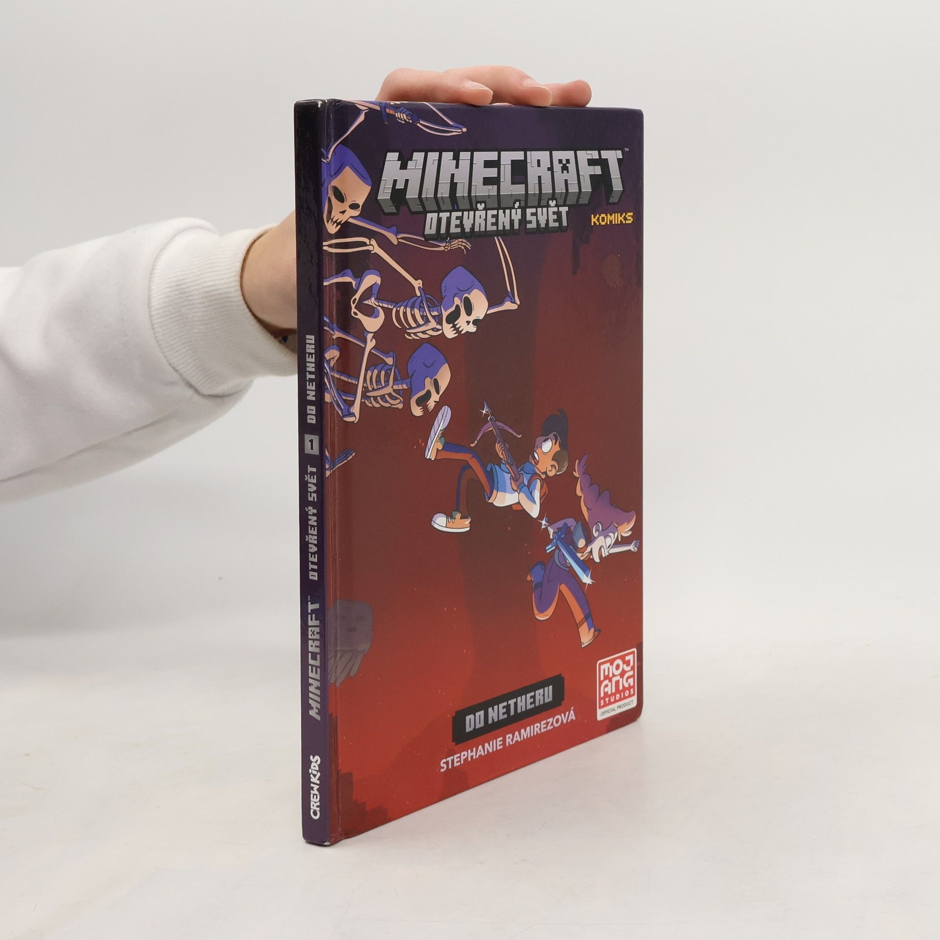 Stephanie Ramirez Minecraft. Otevřený svět