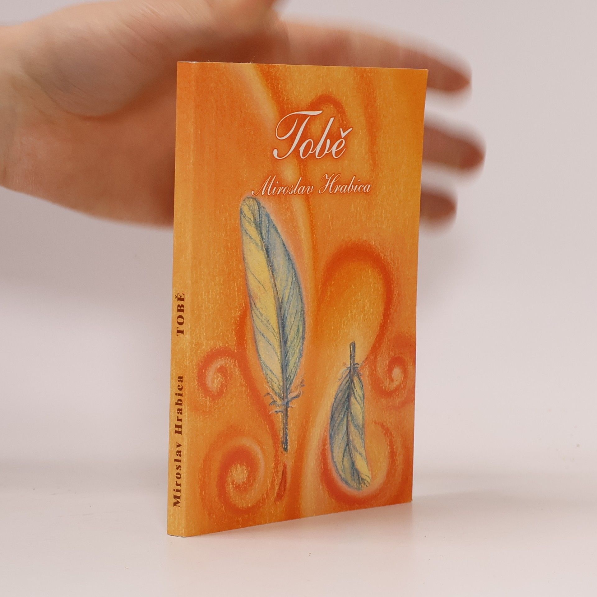 Miroslav Hrabica Tobě. Aneb pomoc stále při ruce.