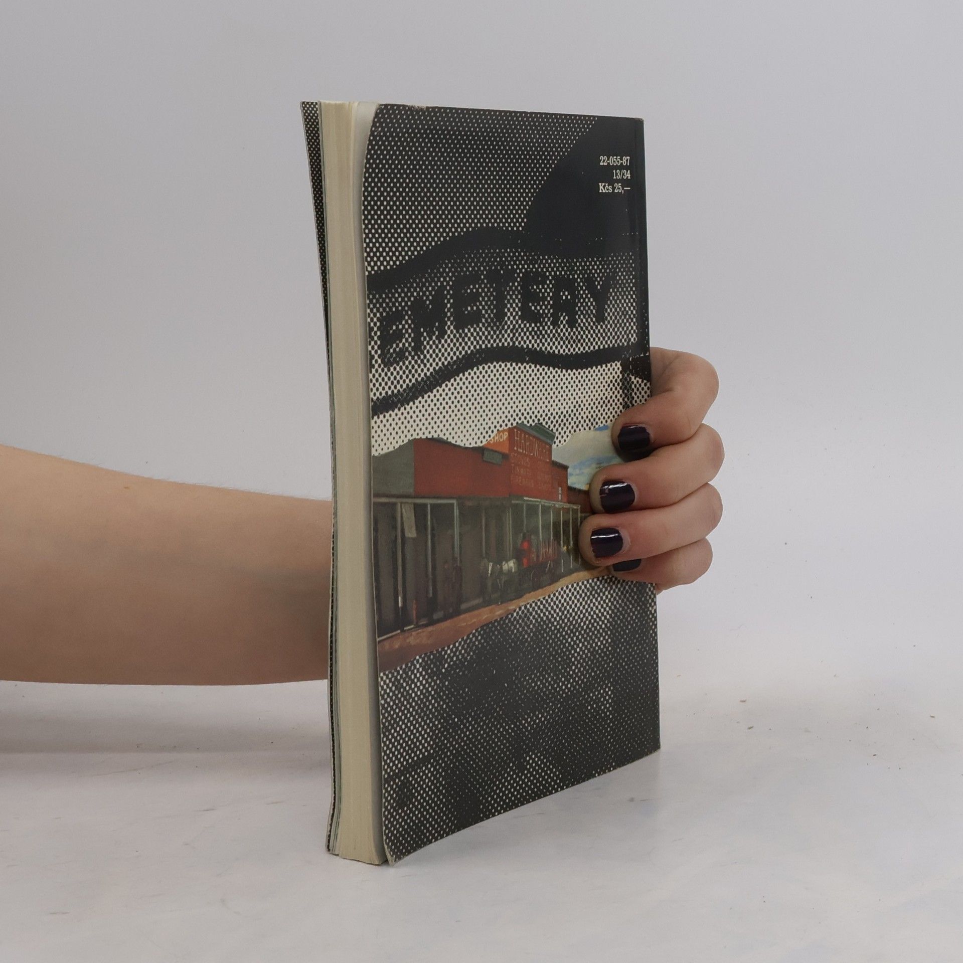 Edgar Lawrence Doctorow Vítejte do zlých časů