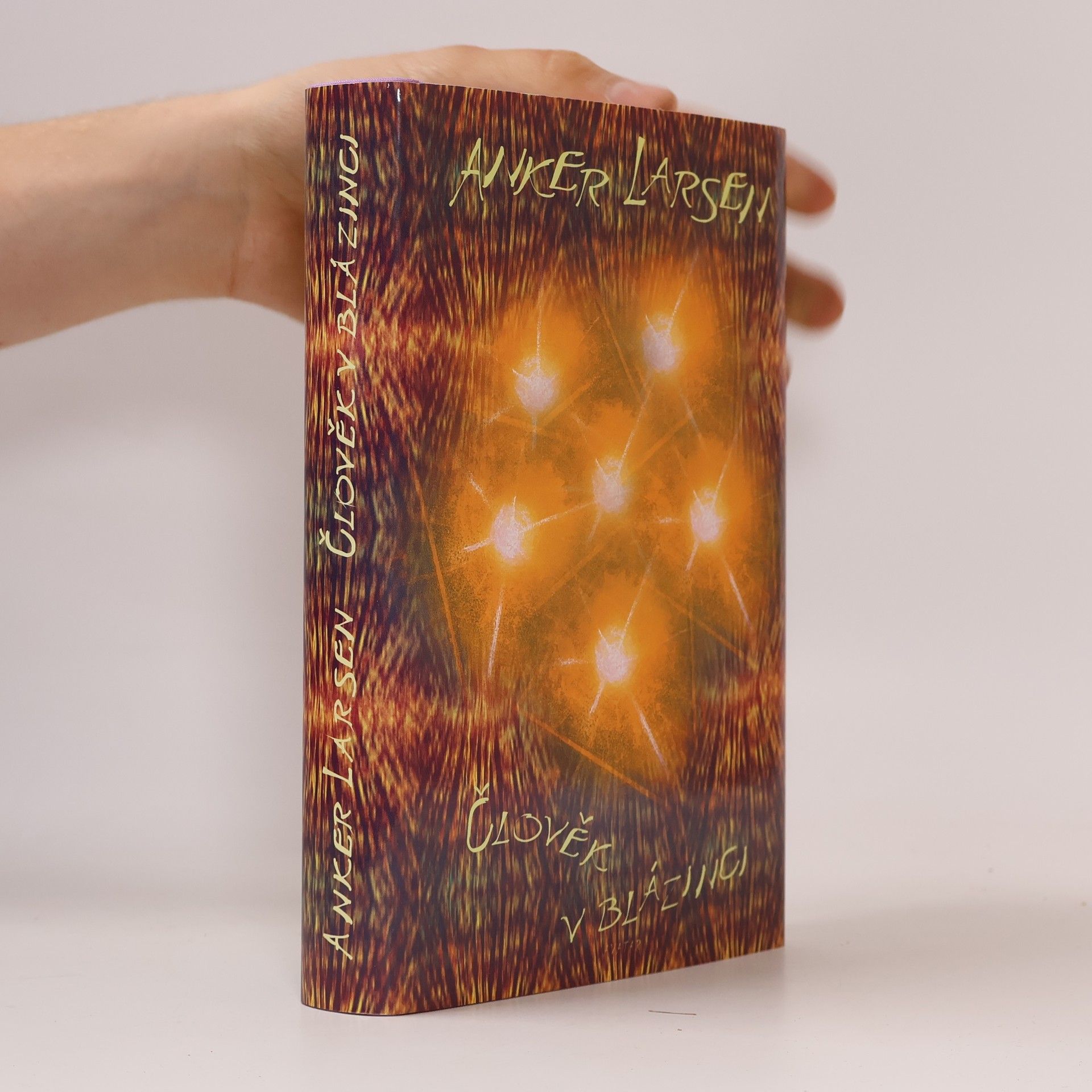 Člověk v blázinci