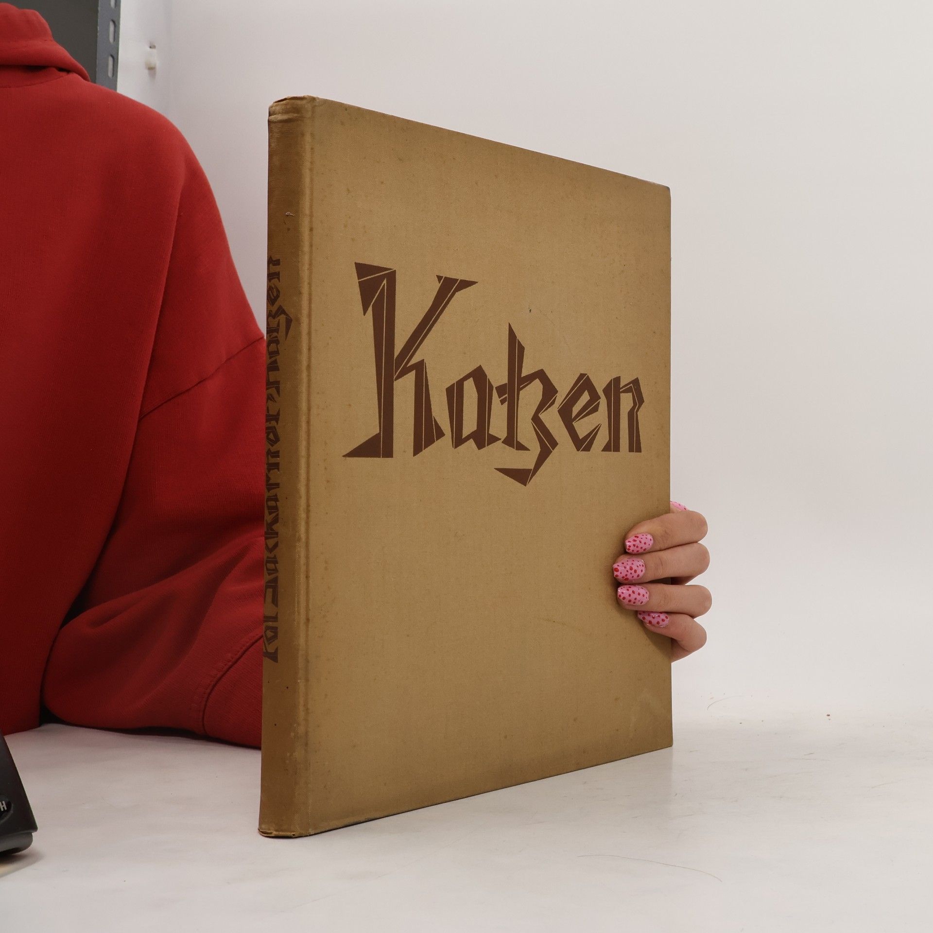 Kolektív autorov Katzen