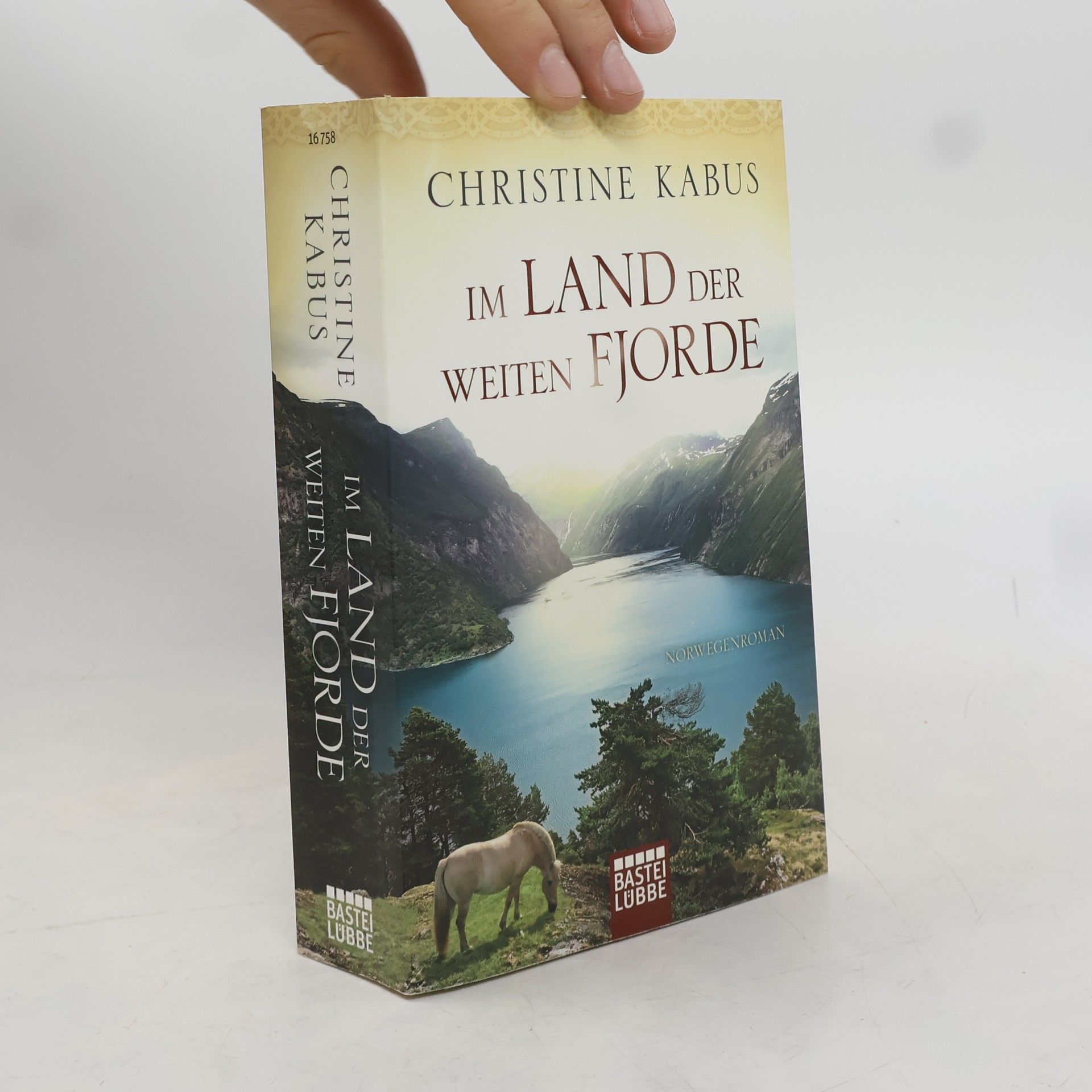 Christine Kabus Im Land der weiten Fjorde