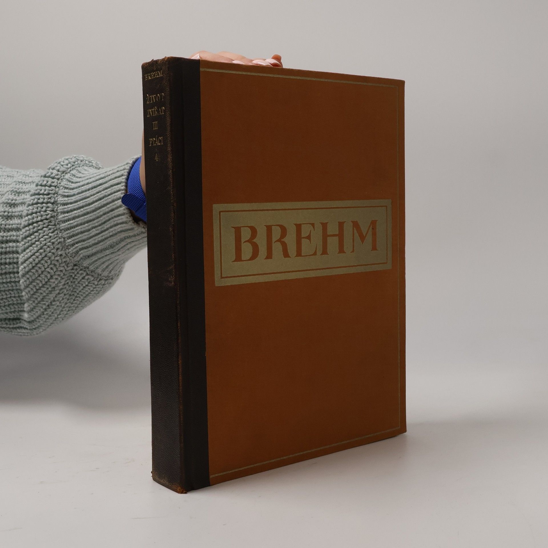 Brehmův Život zvířat. Díl III. Ptáci. Svazek IV.