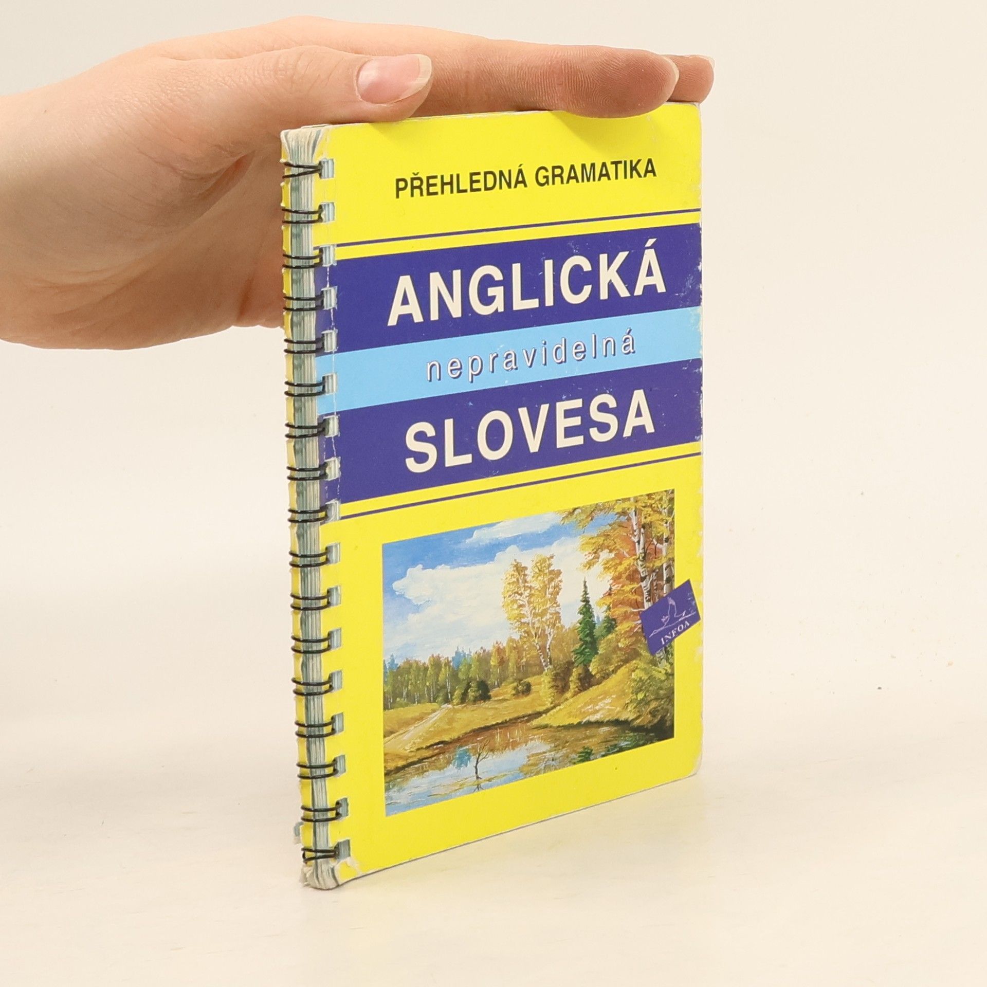 Ivana Doubravová Přehledná gramatika – anglická nepravidelná slovesa