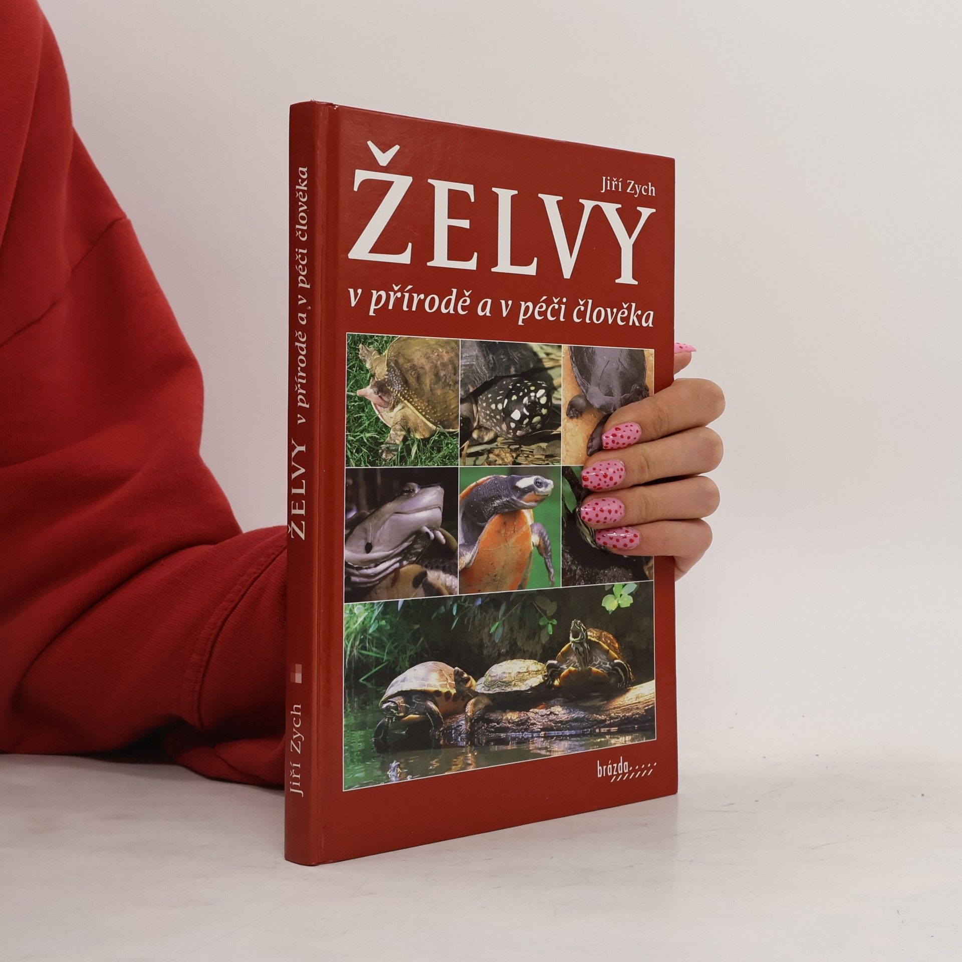 Jiri Zych Želvy v přírodě a v péči člověka
