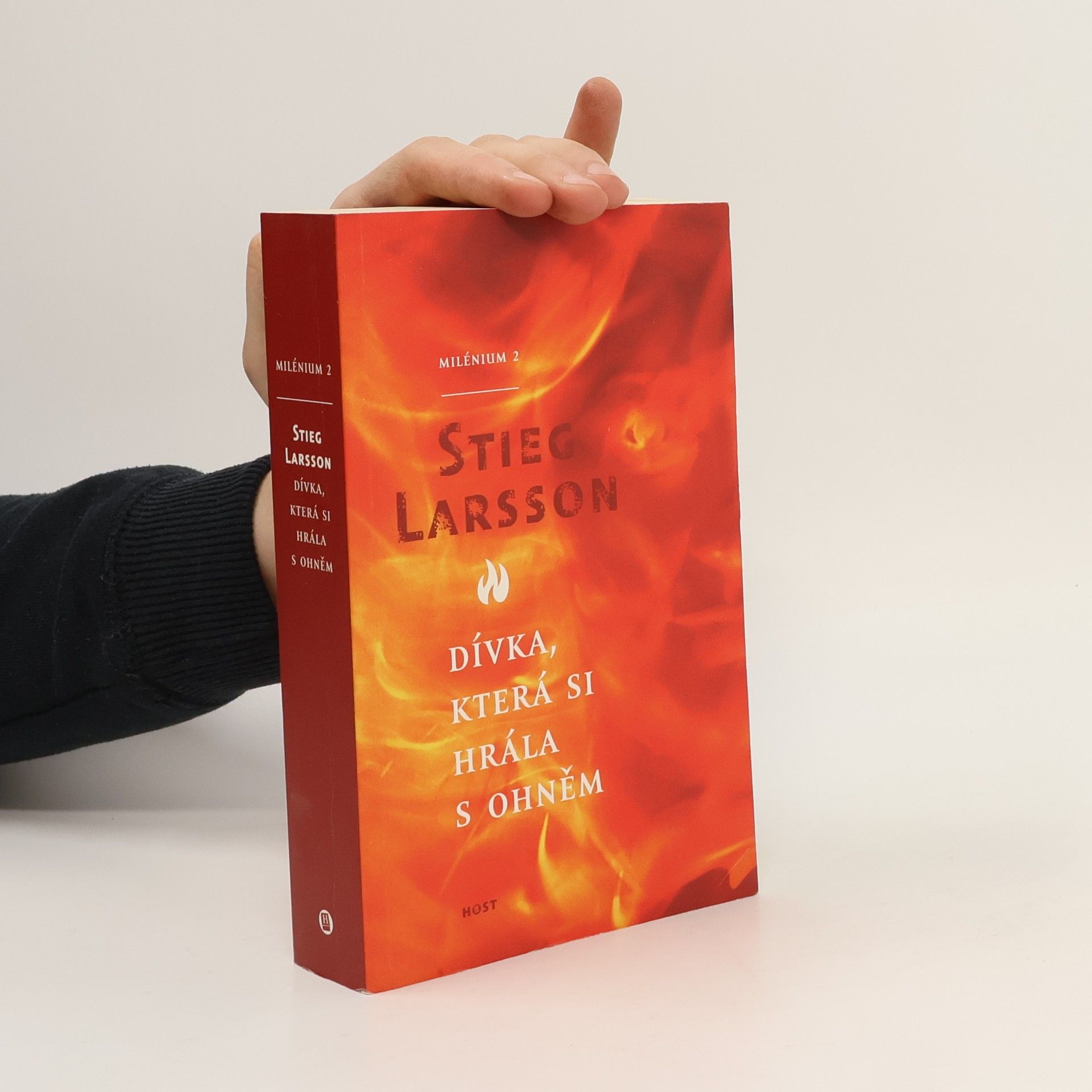 Stieg Larsson Dívka, která si hrála s ohněm