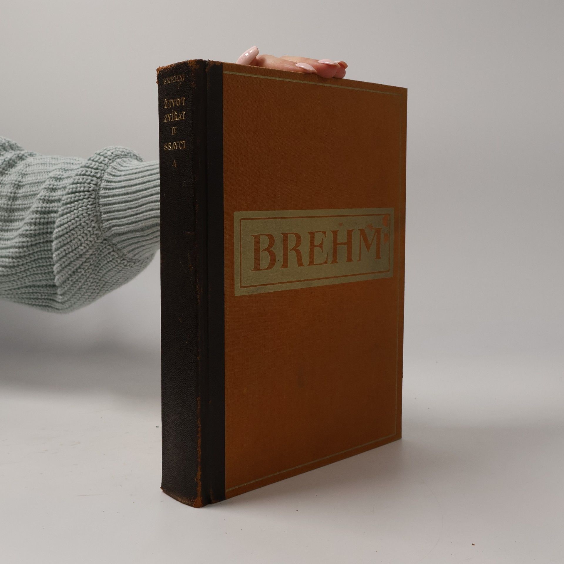 Alfred Edmund Brehm Brehmův život zvířat IV. Ssavci 4