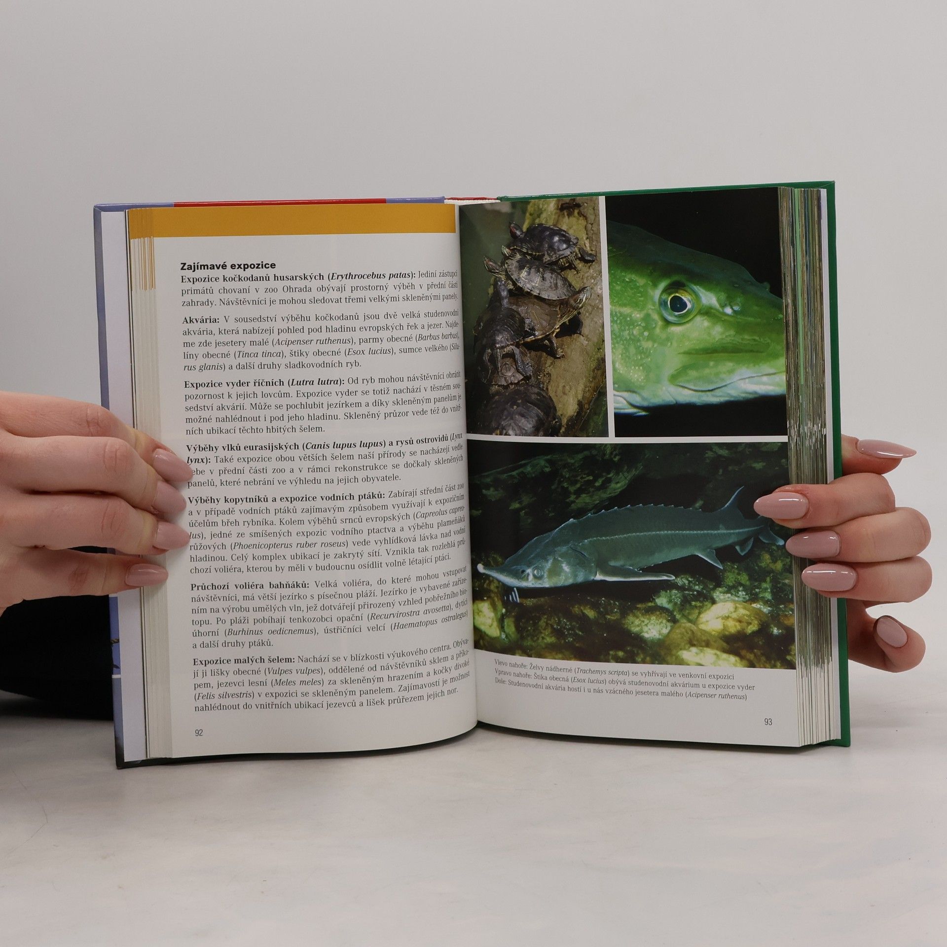Michael Fokt Zoologické zahrady České republiky a okolních zemí