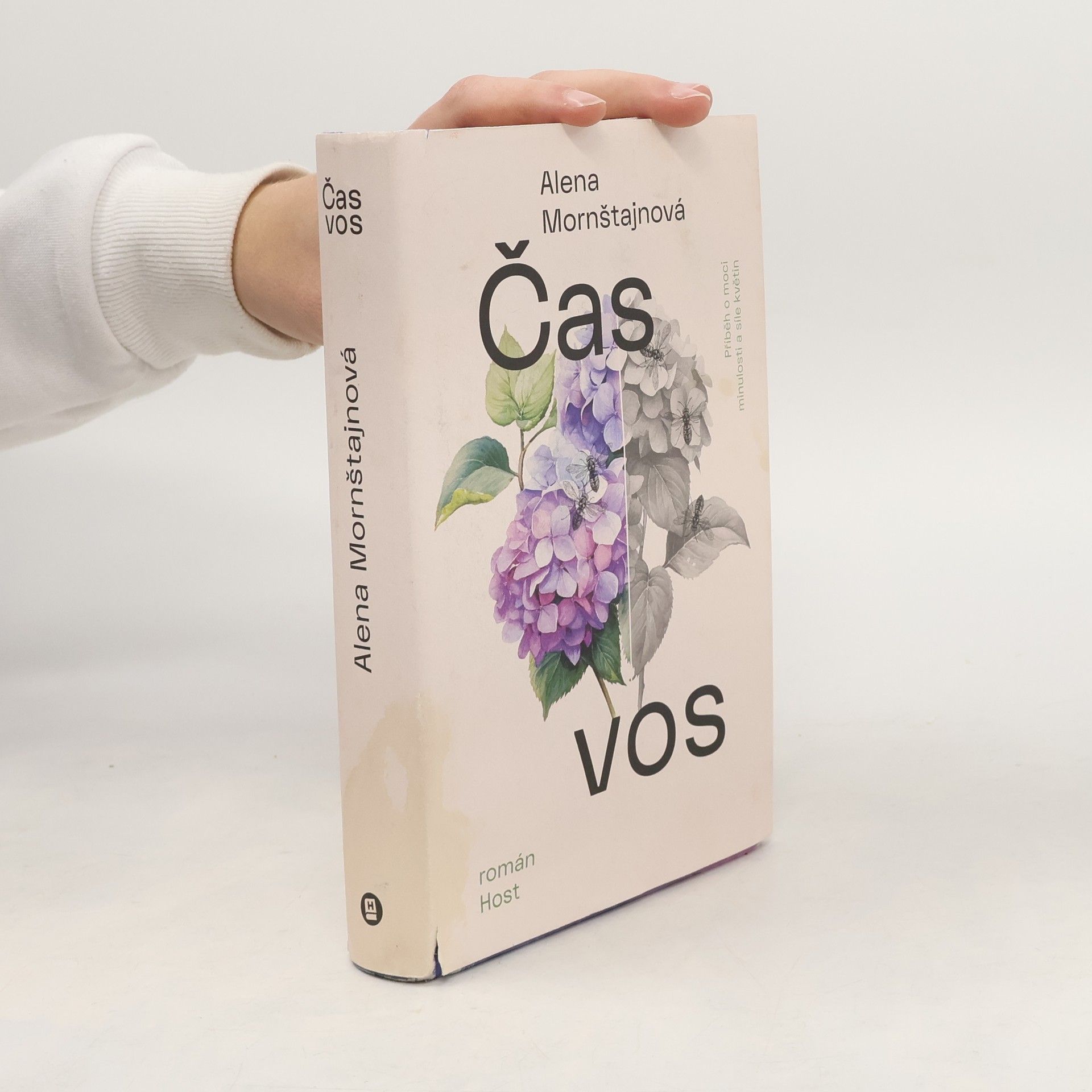 Alena Mornštajnová Čas vos