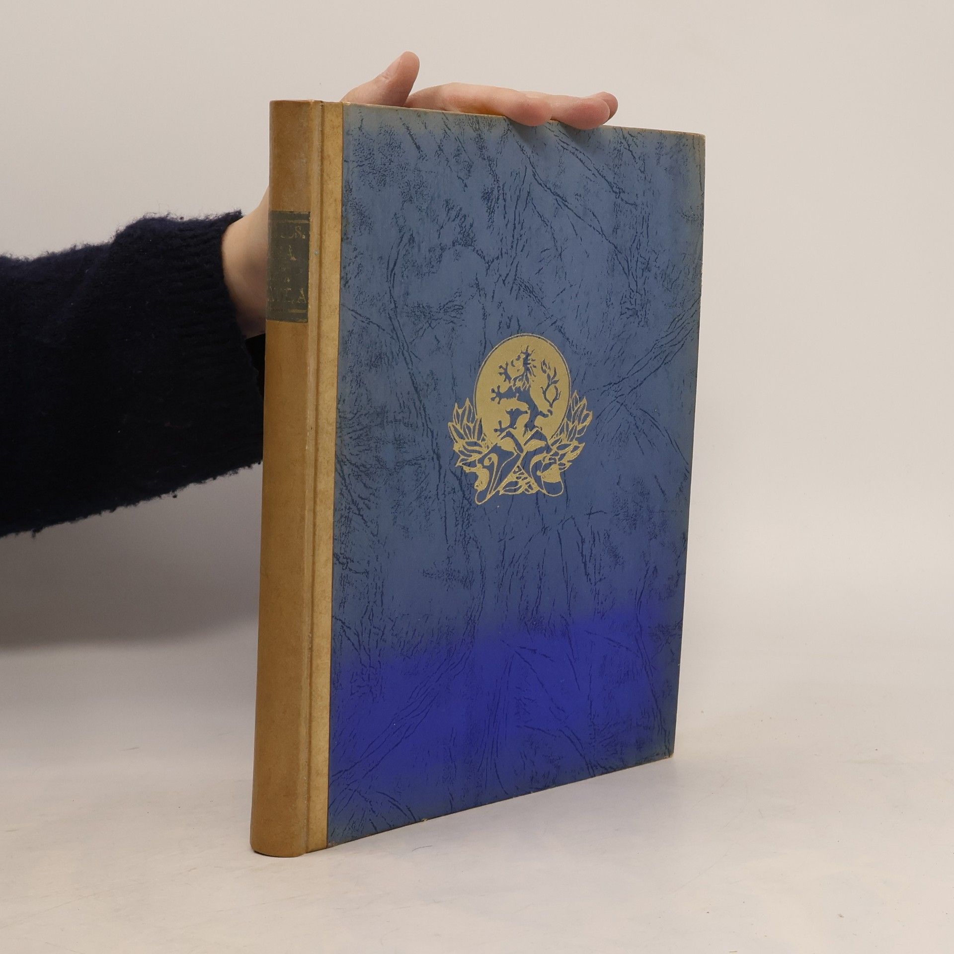 Josef Bartoš Prozatímní divadlo a jeho opera